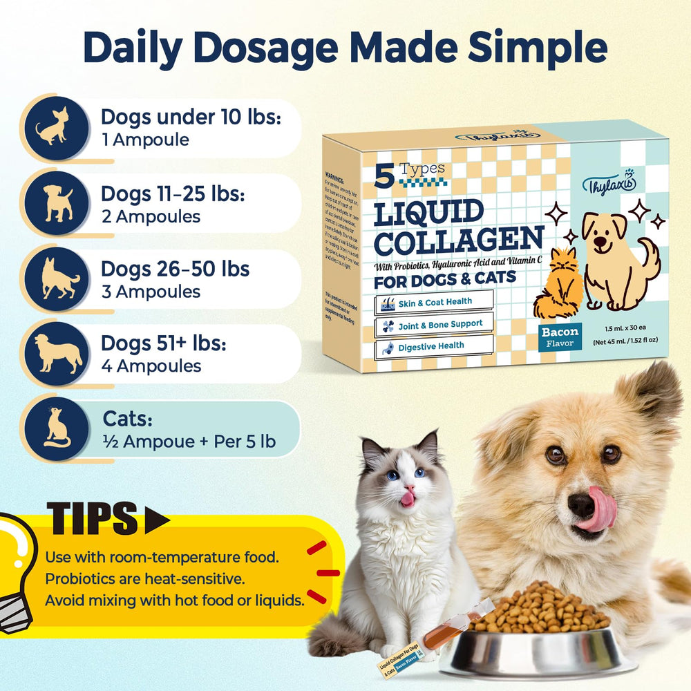 Thylaxls animal en consommation chien acceptant le goût, confort quotidien