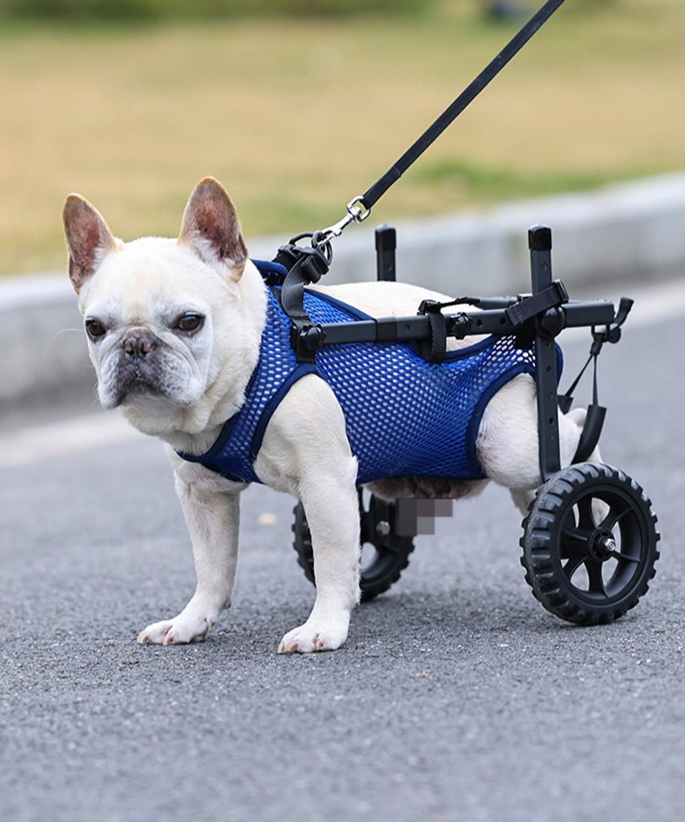 TianfuSpanda emballage avant montrant le fauteuil et ses accessoires pour mobilité