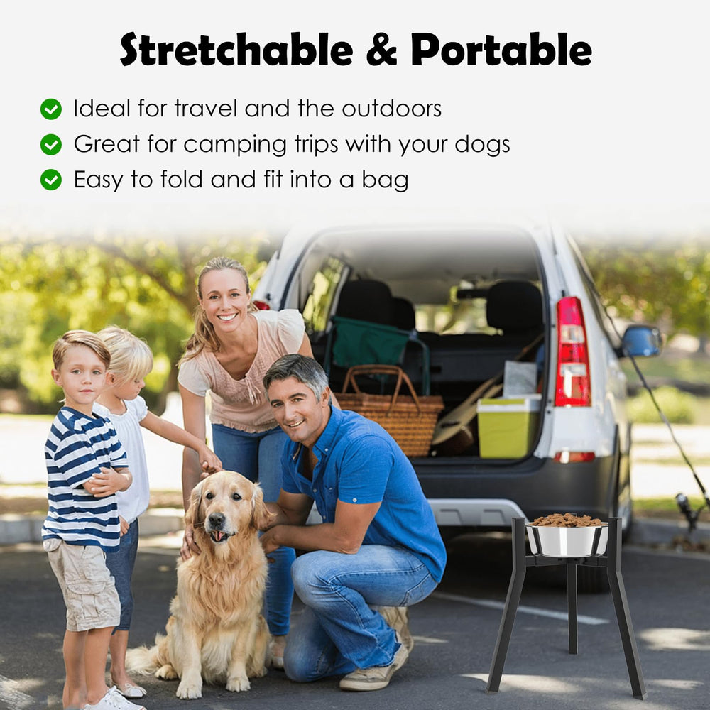 TIDANT mise en situation chien mange confortablement devant support