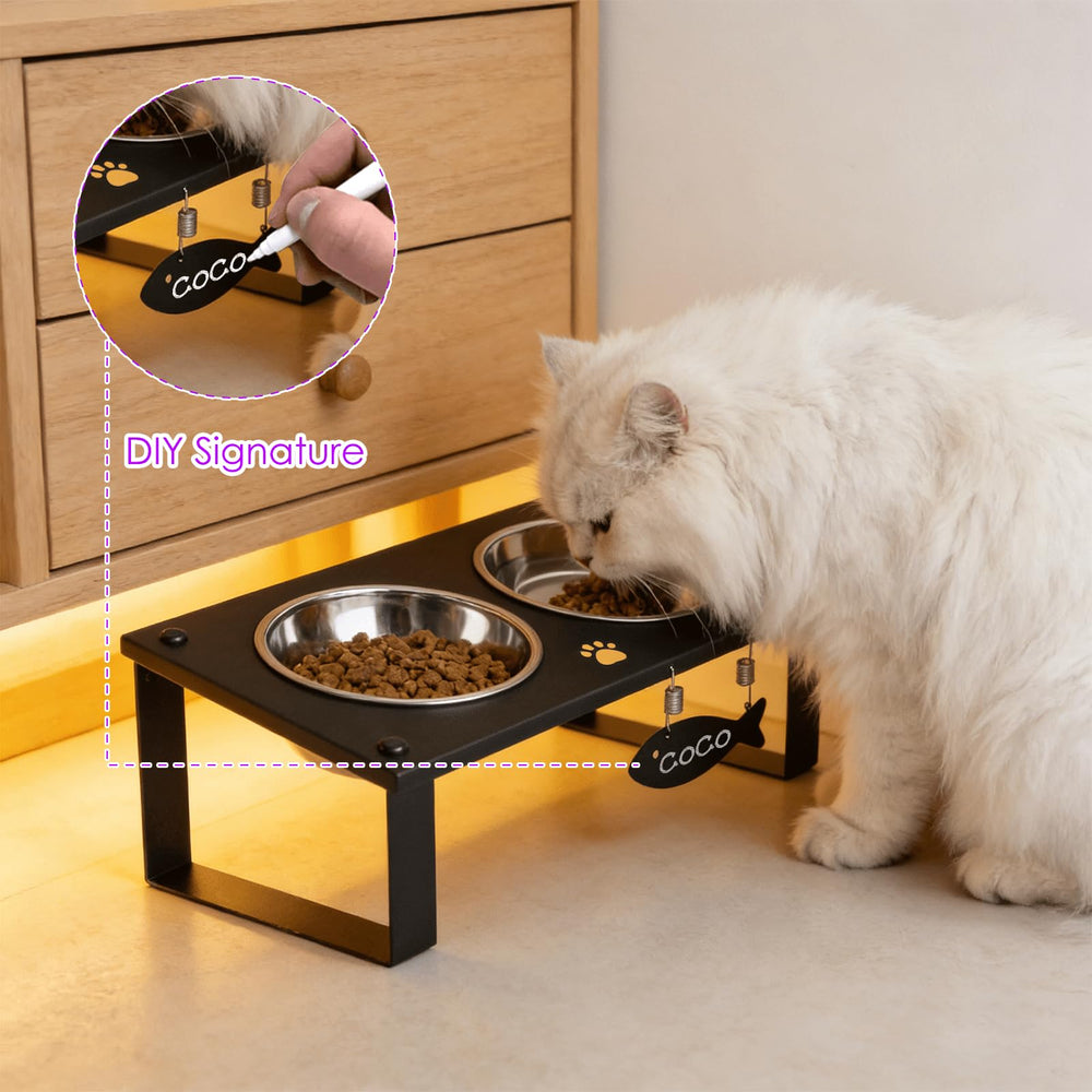 TIDANT chat utilisant la station pour un repas confortable