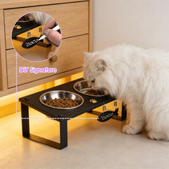 TIDANT chat utilisant la station pour un repas confortable