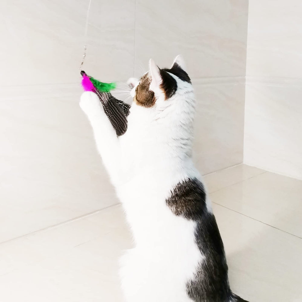 TIENAILING chat jouant avec la plume illustrant stimulation et exercice