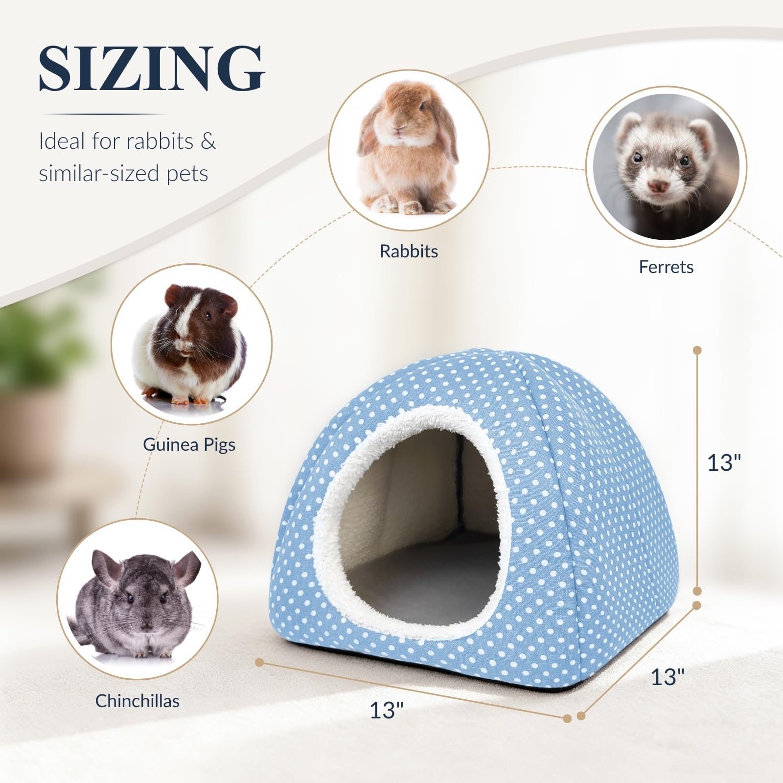 Tierecare comparaison de taille avec un lapin nain illustrant capacité