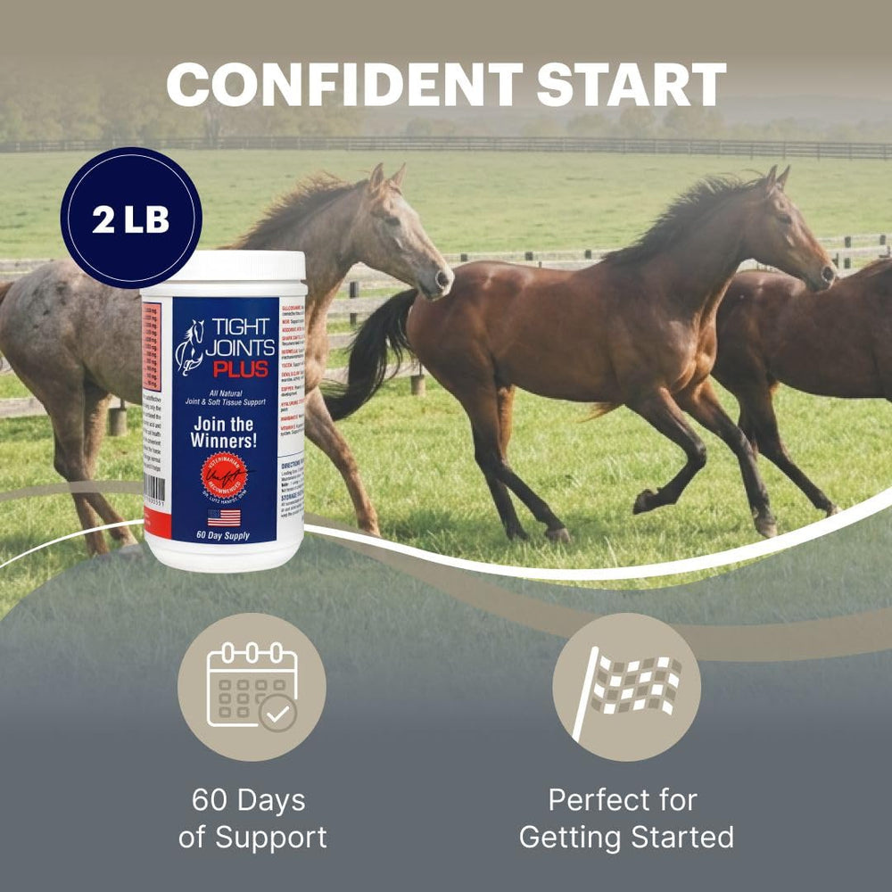 TIGHT JOINTS PLUS cheval au paddock après supplémentation pour mouvement fluide
