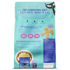 Gros plan croquettes Tiki Cat montrant texture croquante et bénéfice digestif