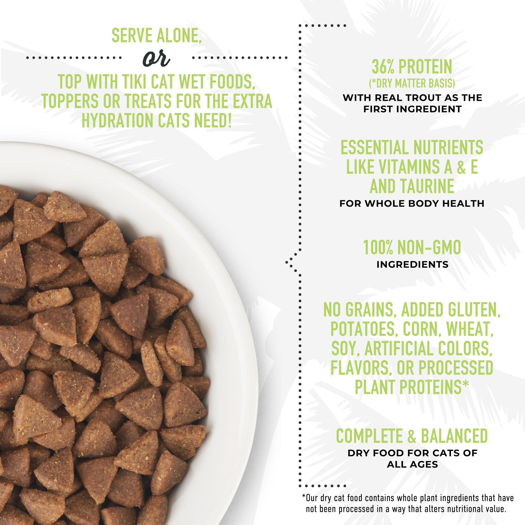 TIKI PETS chat d'intérieur mangeant Born Carnivore illustrant appétit et satisfaction