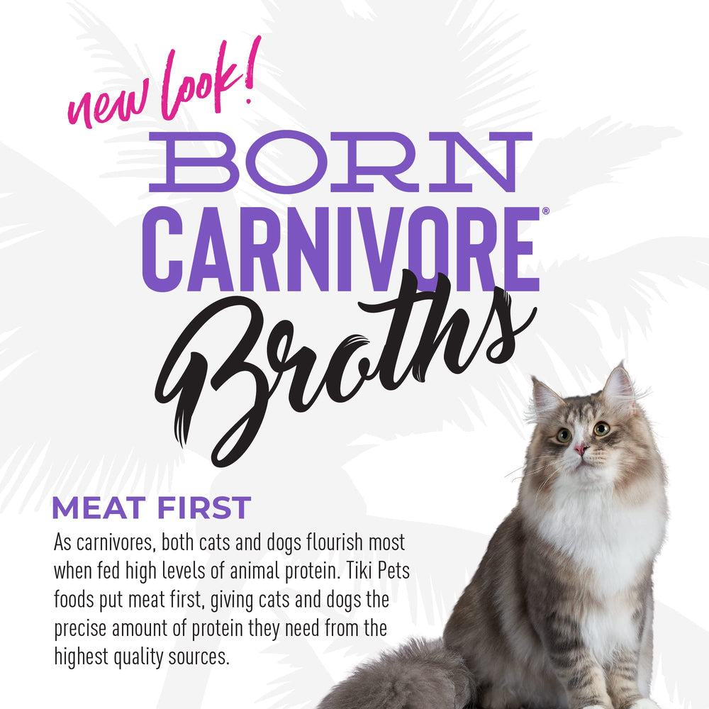 TIKI PETS chat dégustant le topper en situation de repas agréable