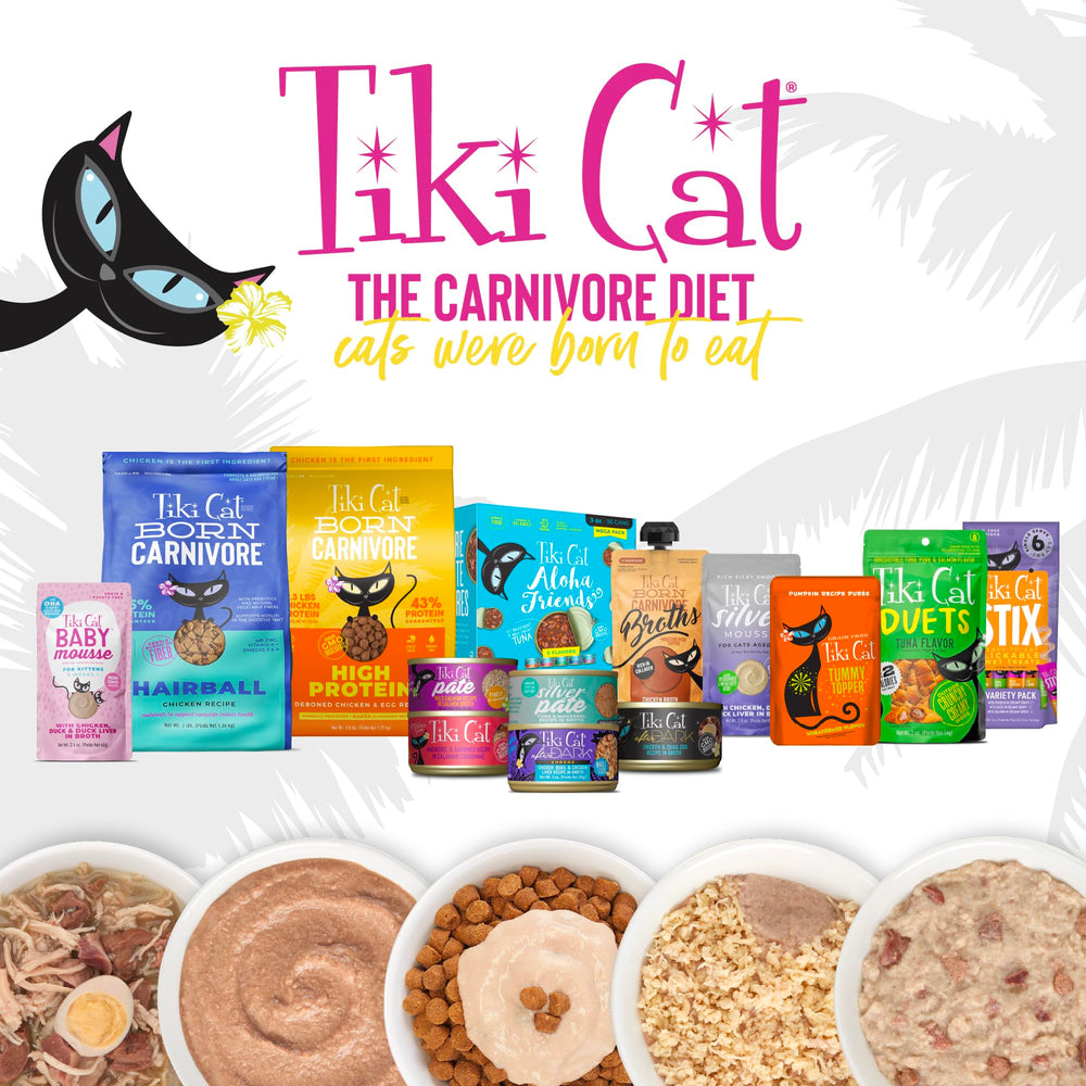 Tiki Cat chat senior mangeant montrant acceptation et confort