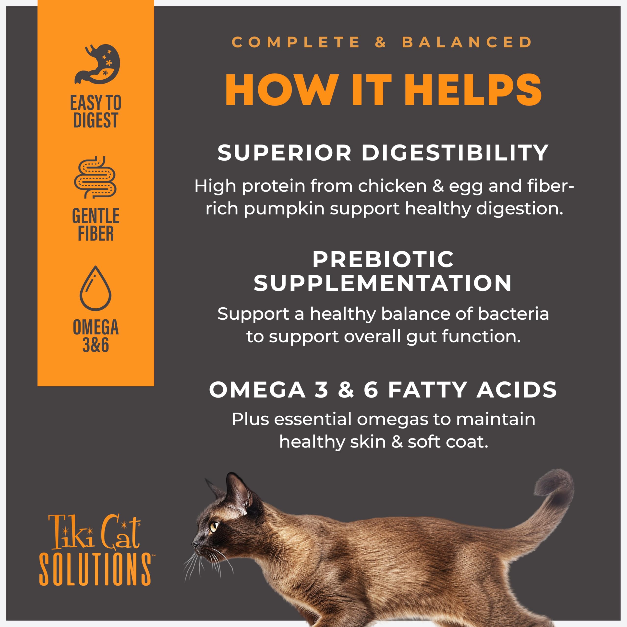 Tiki Cat service en gamelle encourage l'hydratation du chat