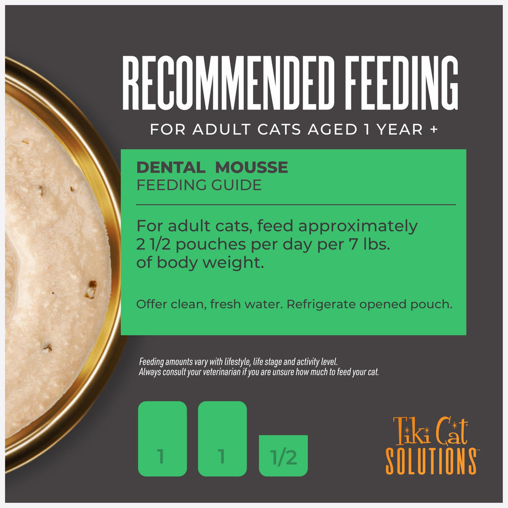 Tiki Cat chat consommant la mousse montrant appétence et confort