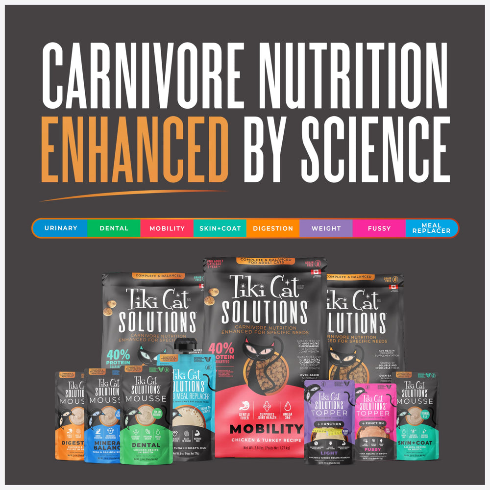 Tiki Cat ensemble de 12 sachets montrant la praticité pour un approvisionnement stable
