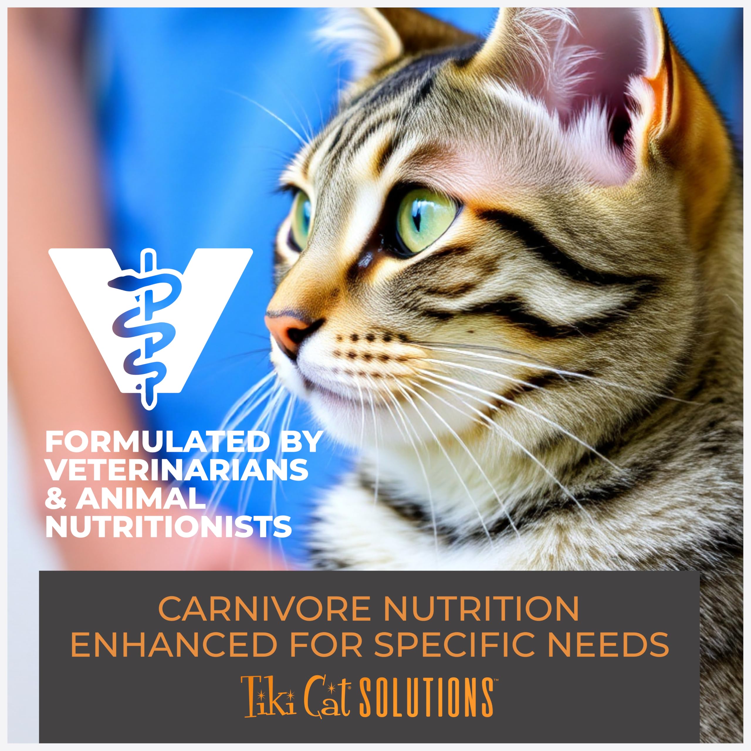 Tiki Cat focus ingrédients naturels poulet, œuf, menthe et persil