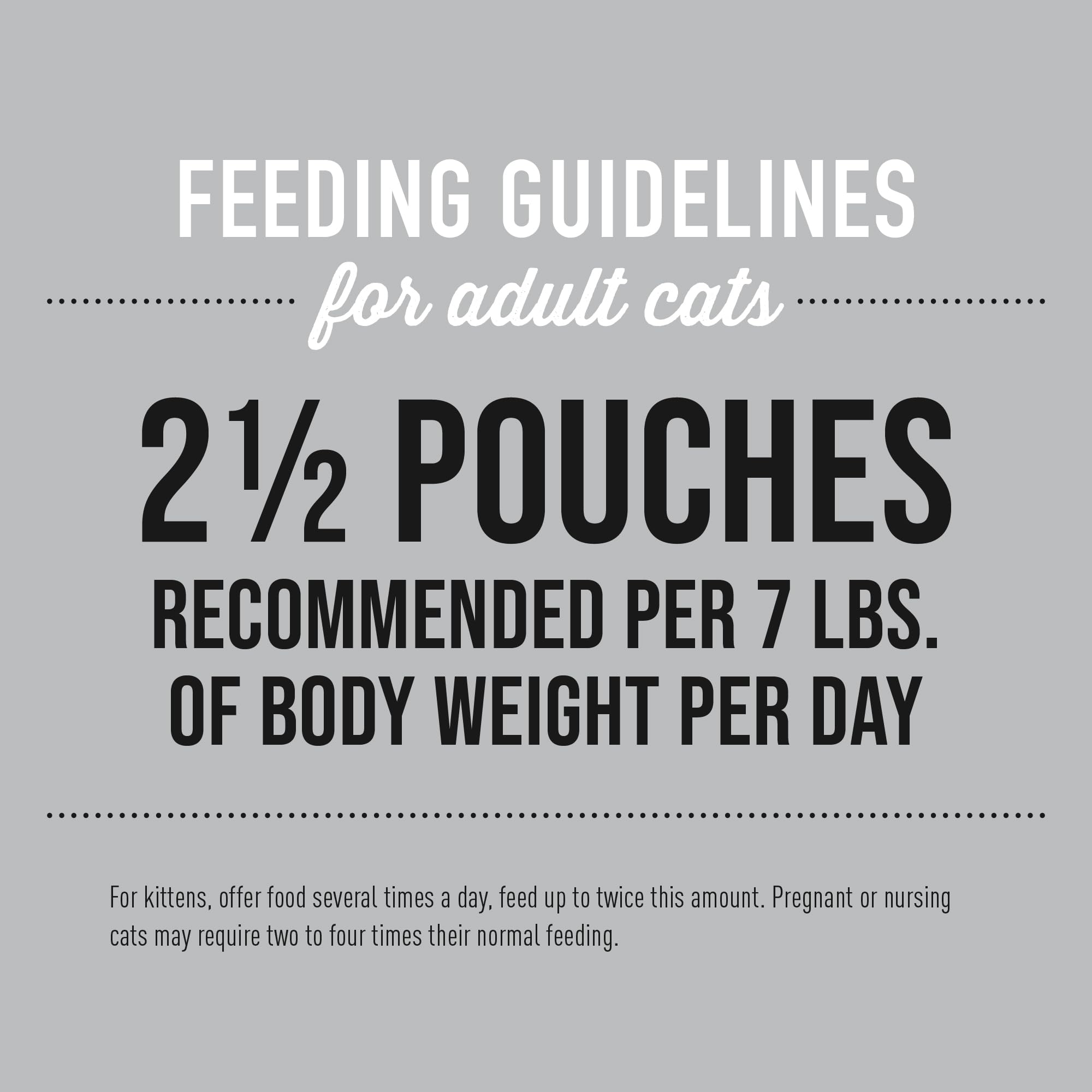 TIKI PETS portion servie dans bol montrant une alimentation équilibrée