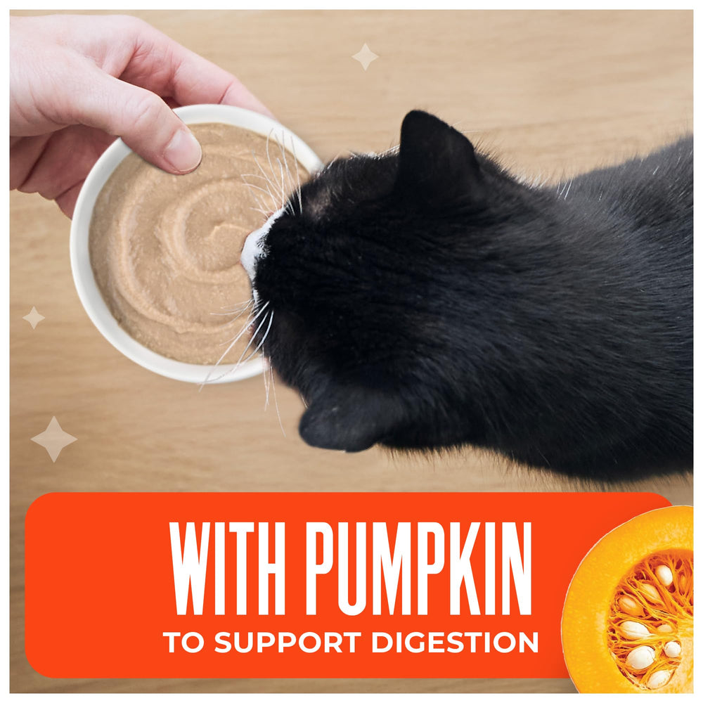 Tiki Cat portion servie dans une assiette illustrant un repas complet