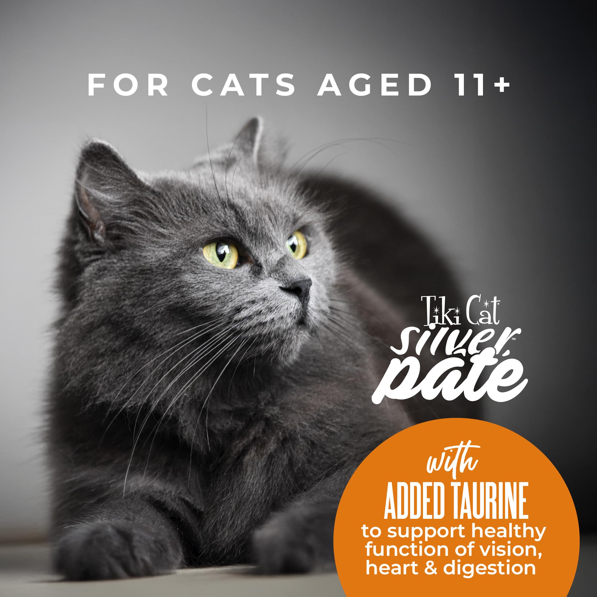 Tiki Cat bol sur table, service élégant et appétissant pour chat âgé