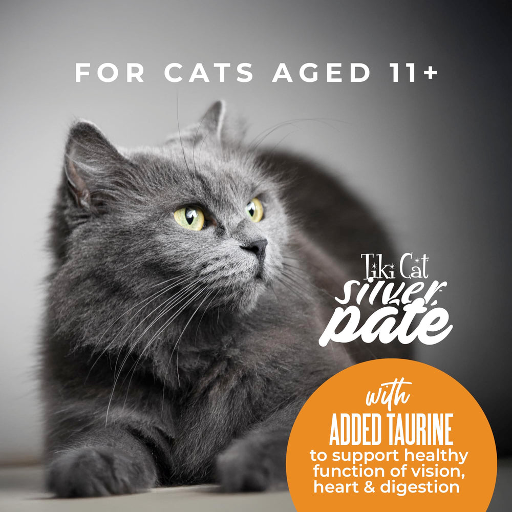 Tiki Cat bol sur table, service élégant et appétissant pour chat âgé