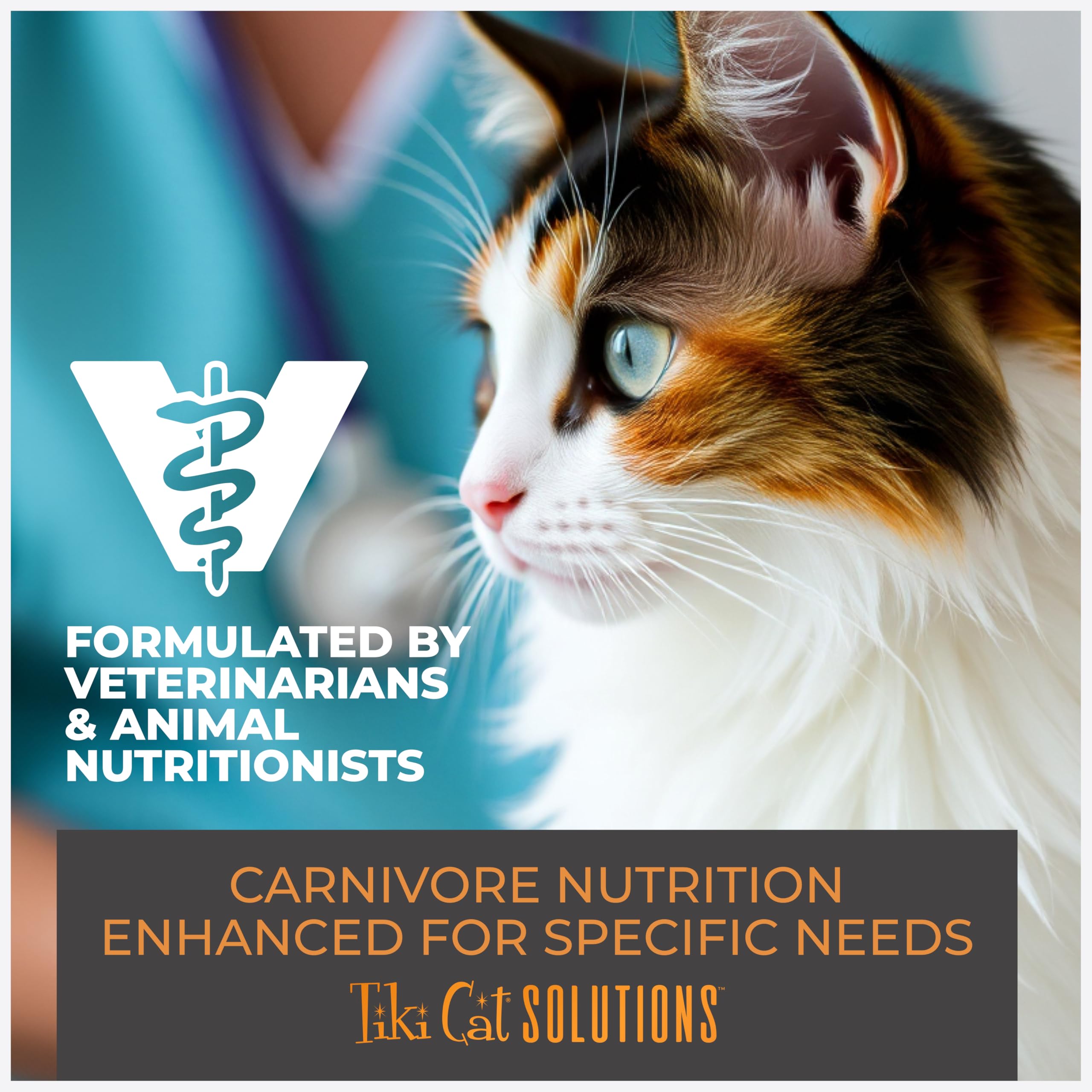Tiki Cat liste d'ingrédients non-OGM et sans céréales pour transparence