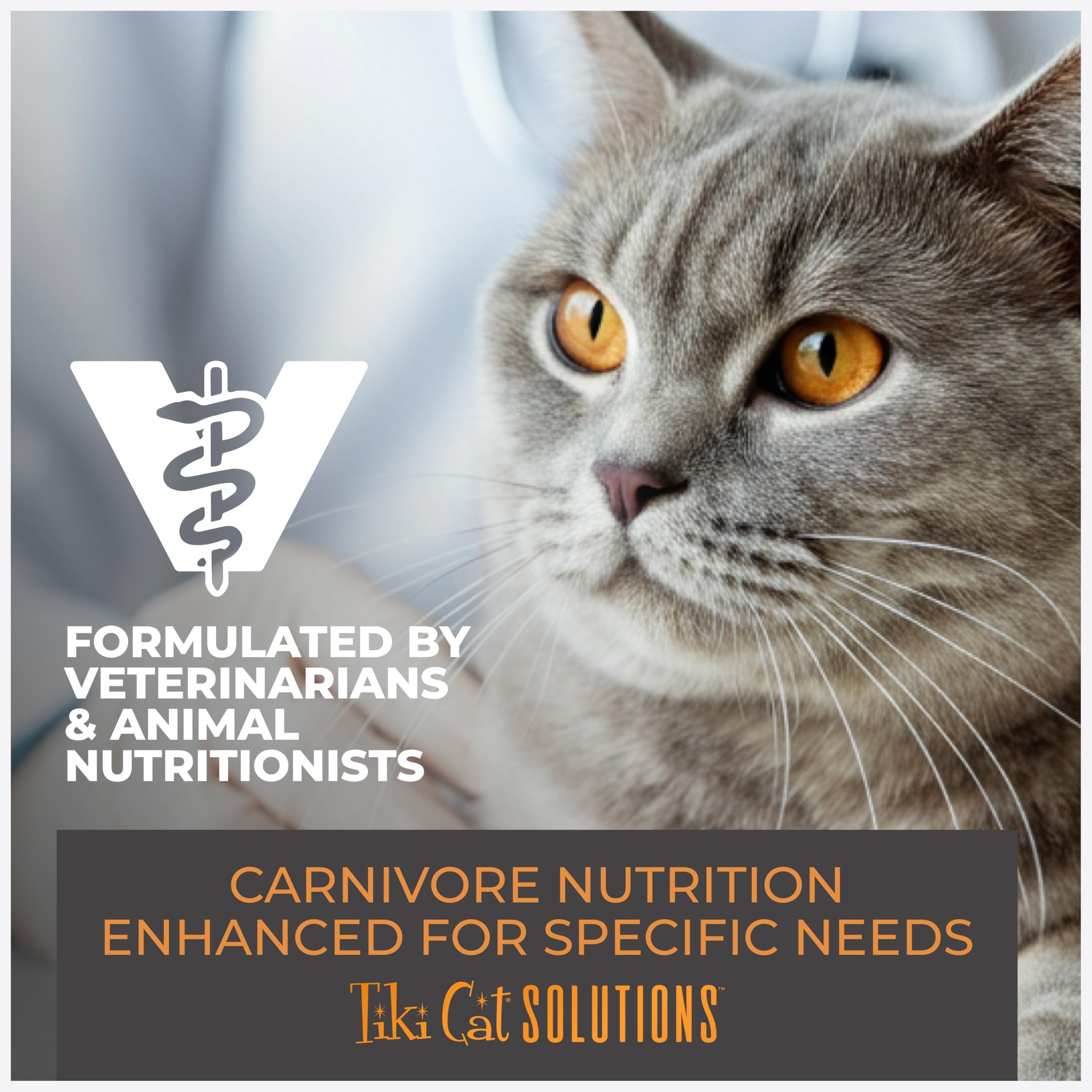 Tiki Cat ingrédients montrés pour transparence et qualité non-GMO