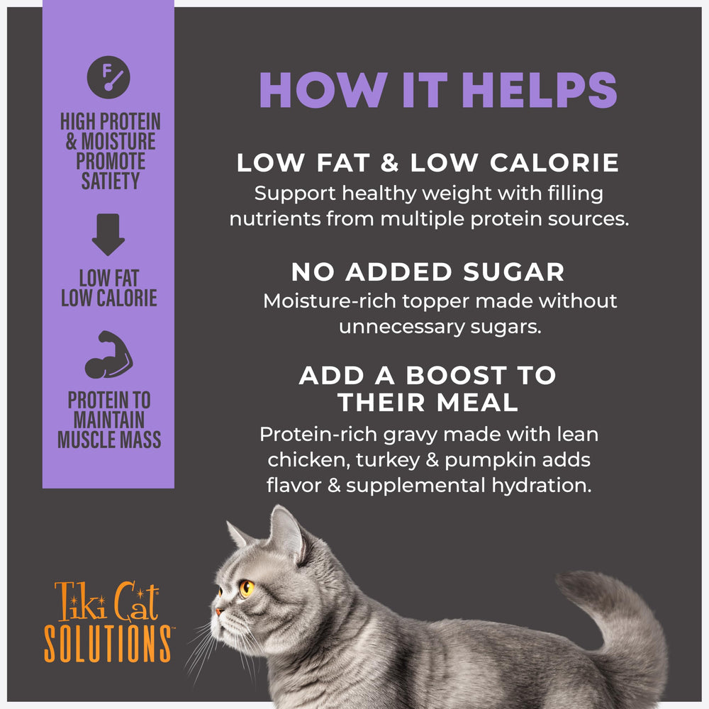 Tiki Cat versement sur croquettes pour plus de goût et satiété