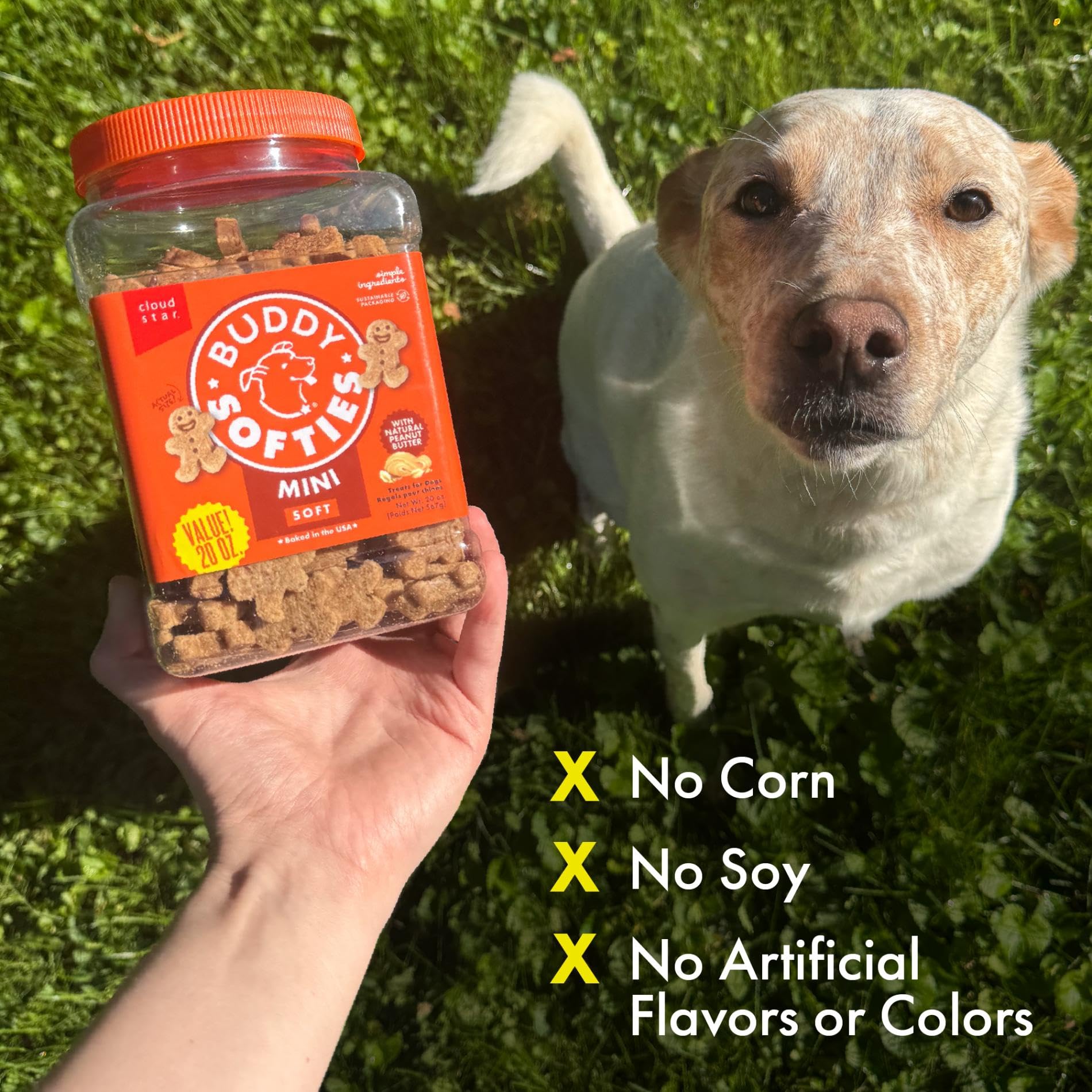 TIKI PETS comparaison taille avec main, portion idéale pour entraînement