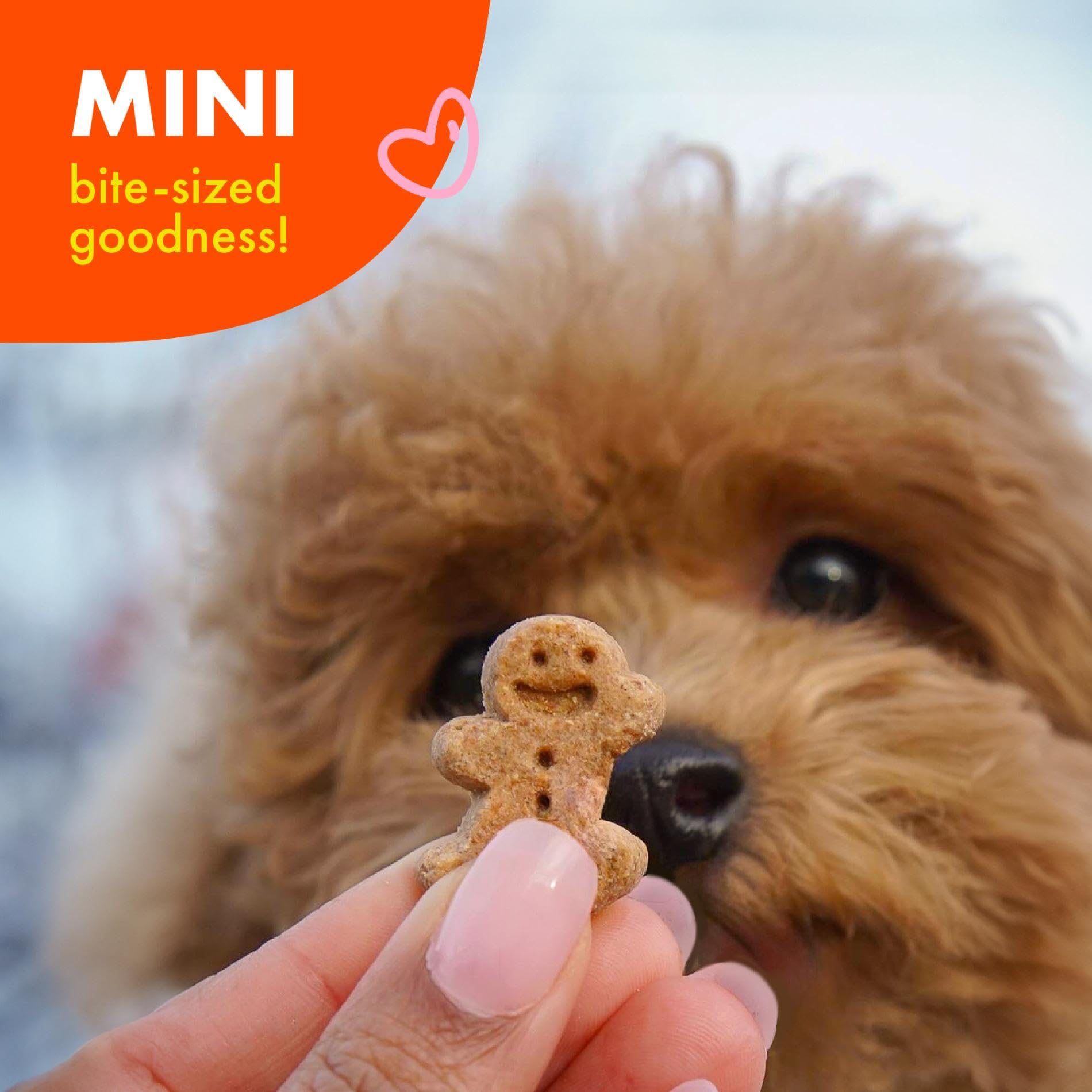 TIKI PETS étiquette nutritionnelle claire montrant ingrédients simples