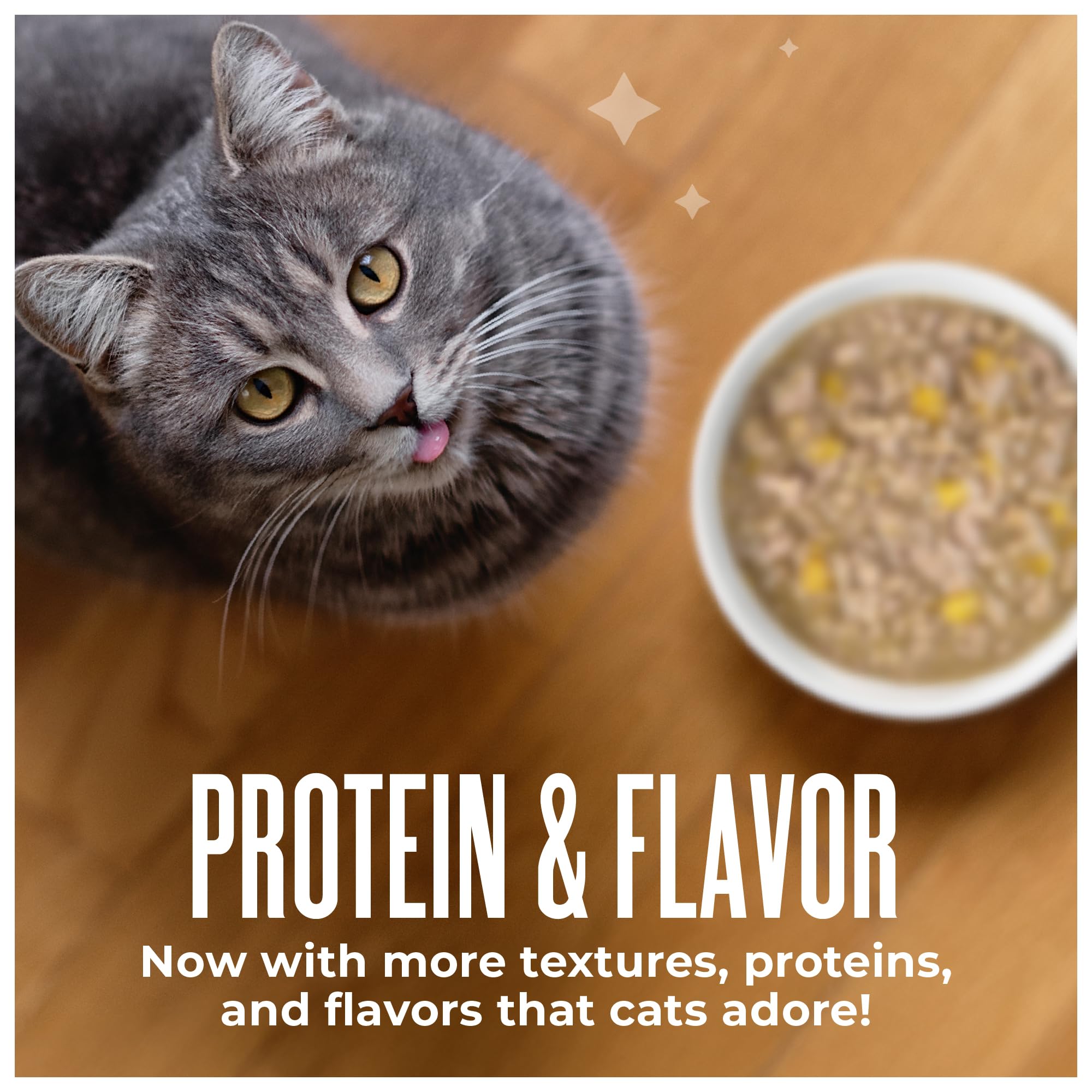 TIKI PETS chat adulte mangeant, favorise hydratation et appétit