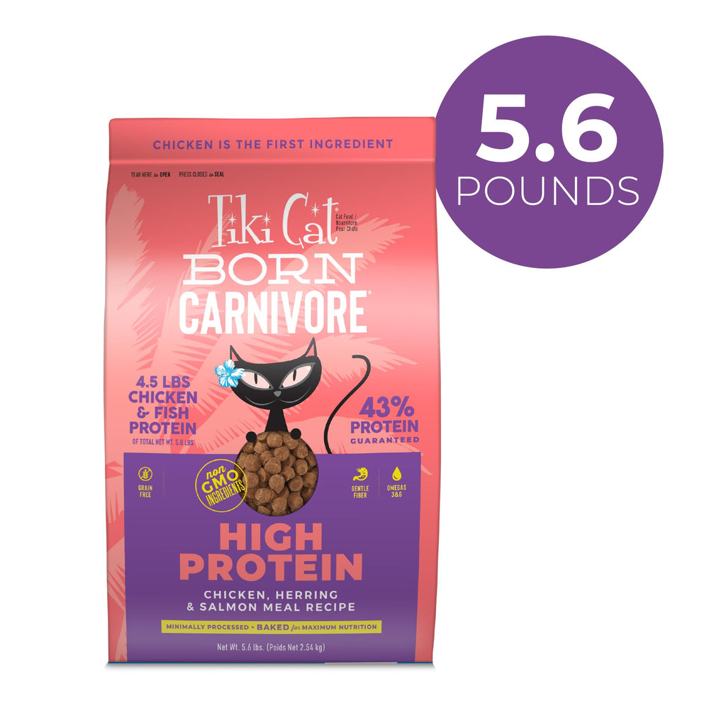 TIKI PETS gros plan croquette croquante pour appétence et texture