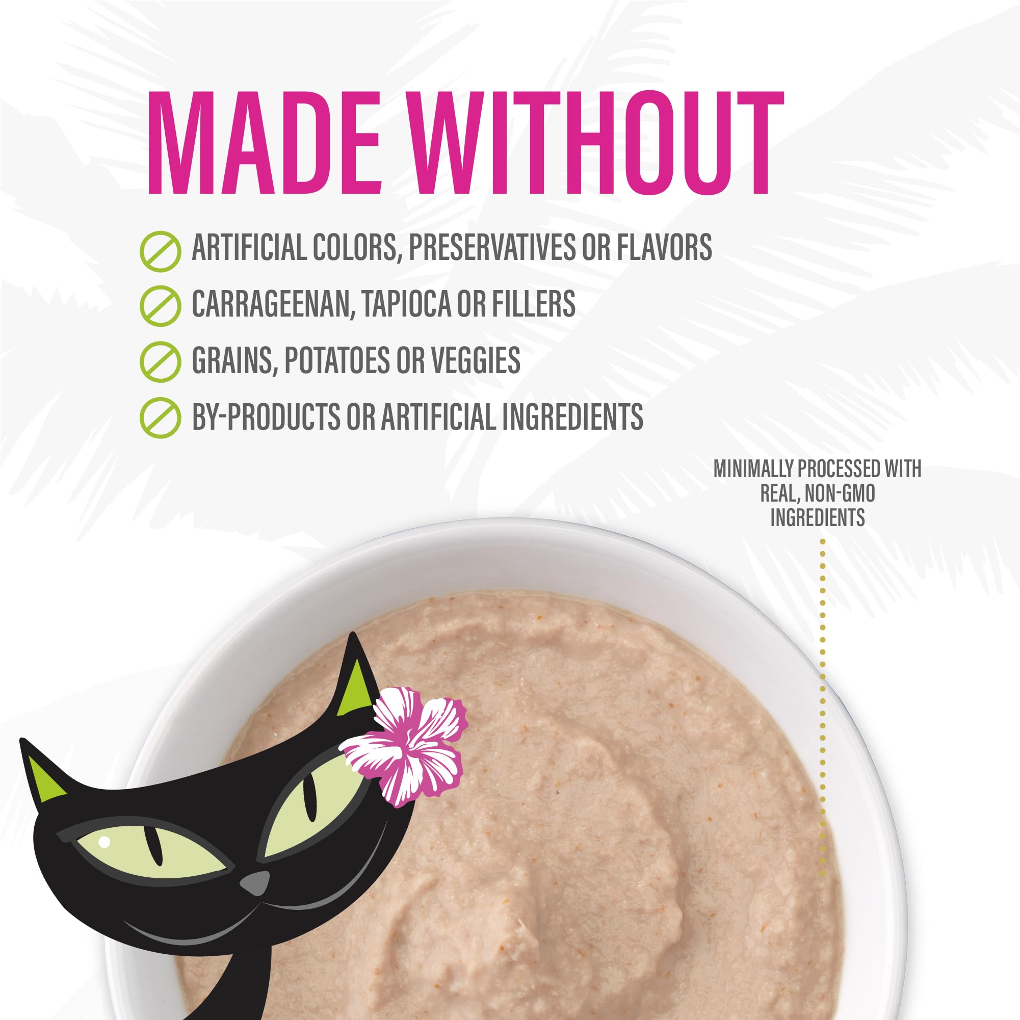 TIKI PETS chat en train de manger montrant acceptation et plaisir