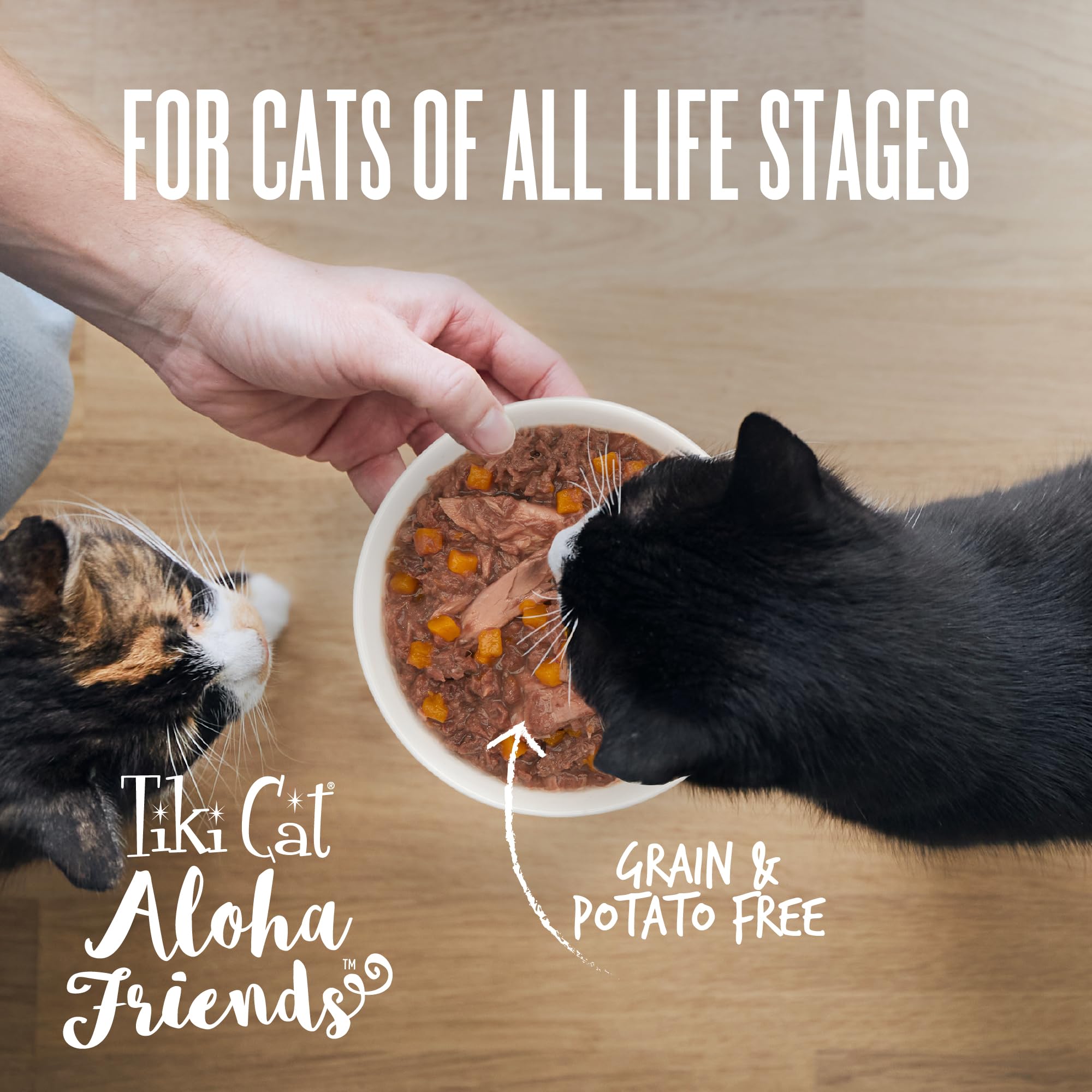 TIKI PETS comparaison taille main et boîte pour visualiser portion individuelle