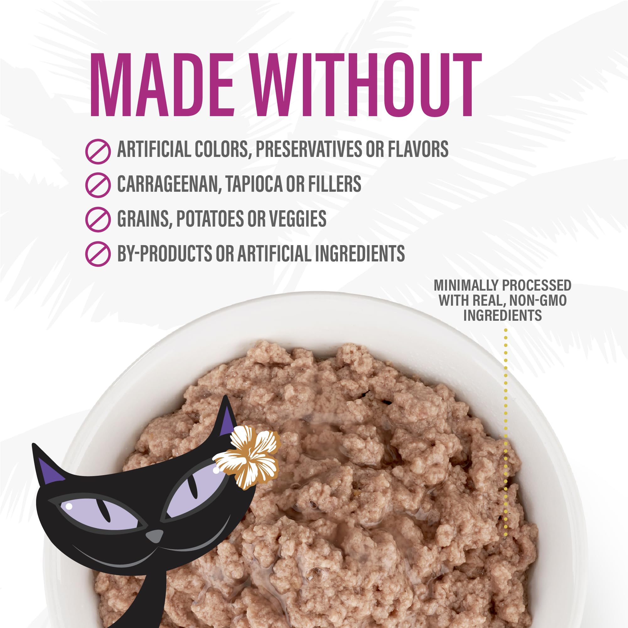TIKI PETS scène intérieure avec chat content, intégration au quotidien