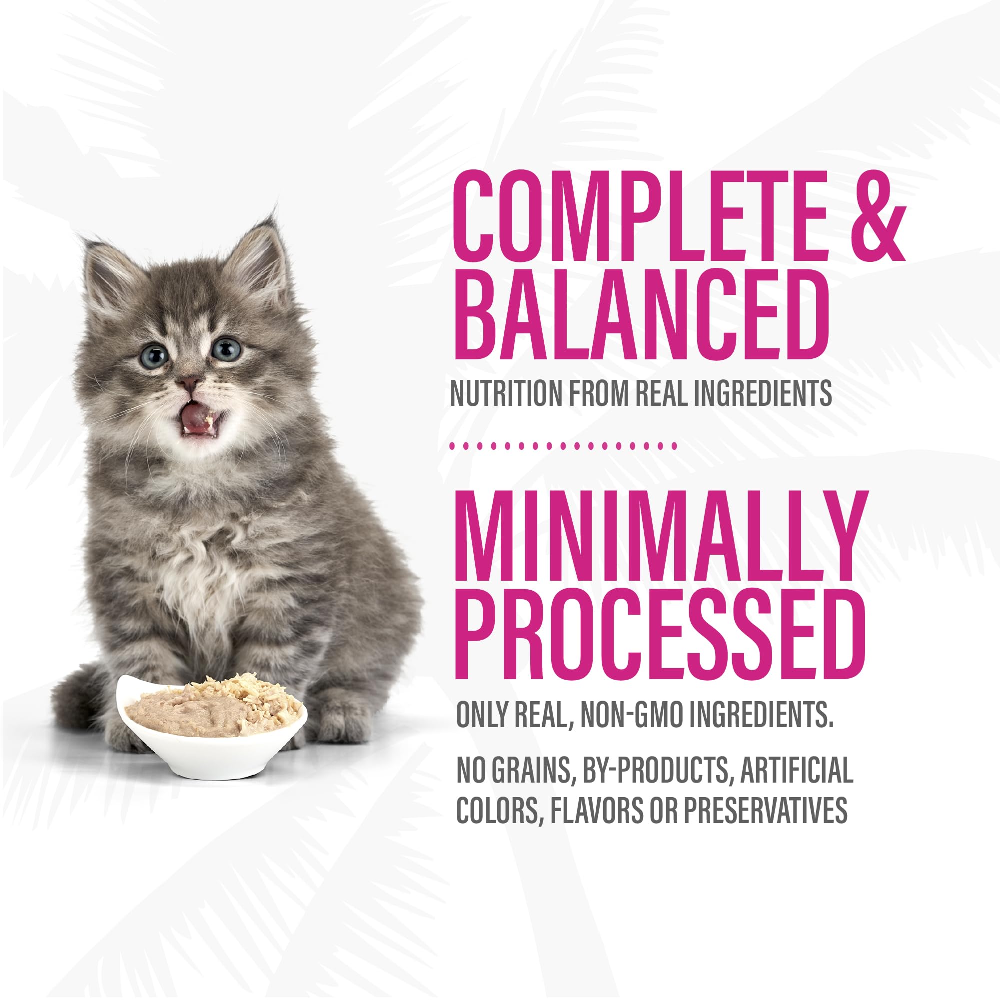 TIKI PETS packaging latéral clair, présente absence de céréales