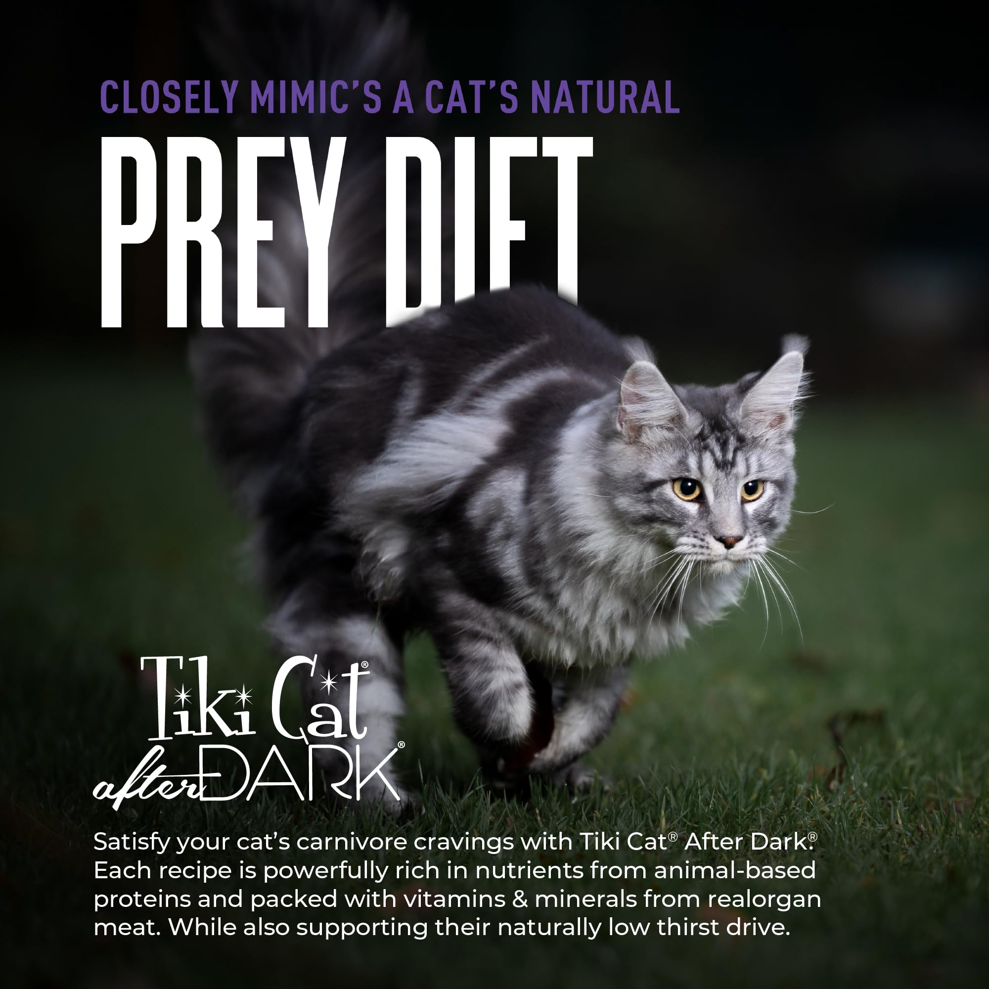 TIKI PETS étiquette nutritionnelle détaillant ingrédients sans céréales pour transparence