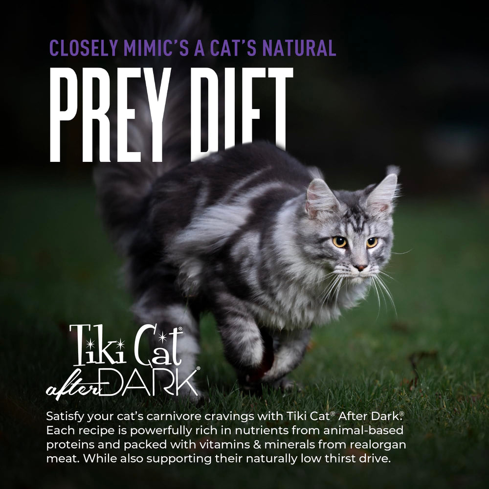 TIKI PETS étiquette nutritionnelle détaillant ingrédients sans céréales pour transparence