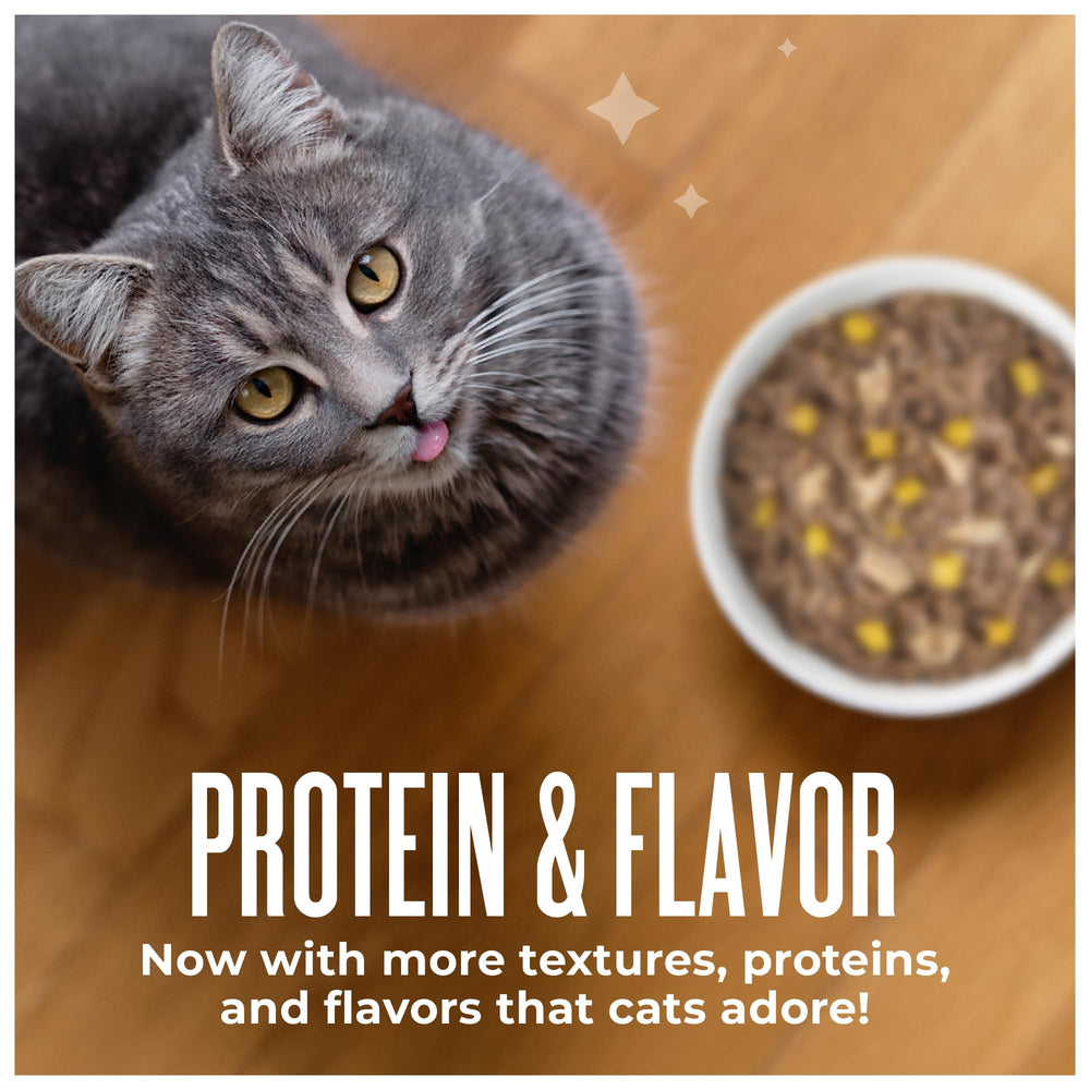 TIKI PETS portion servie dans une assiette, attrait pour le chat