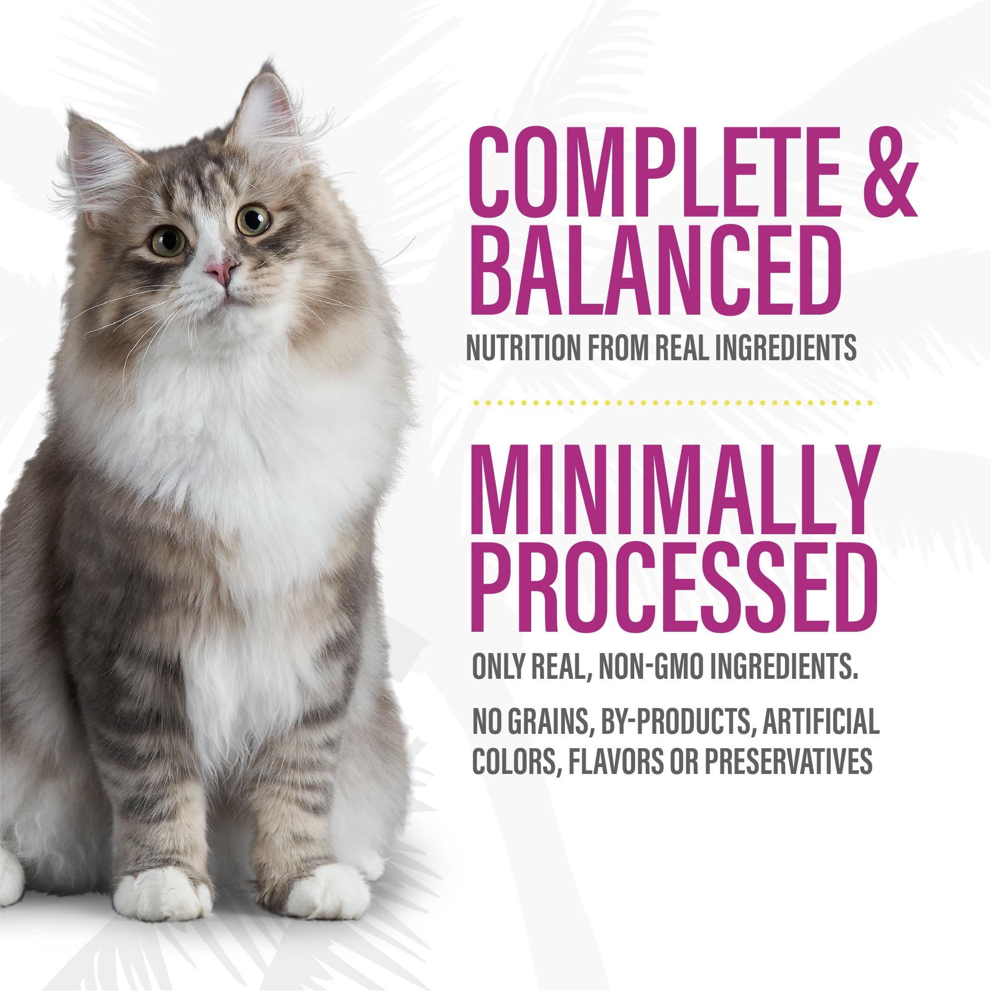 TIKI PETS gros plan dinde et foie, source de nutriments denses