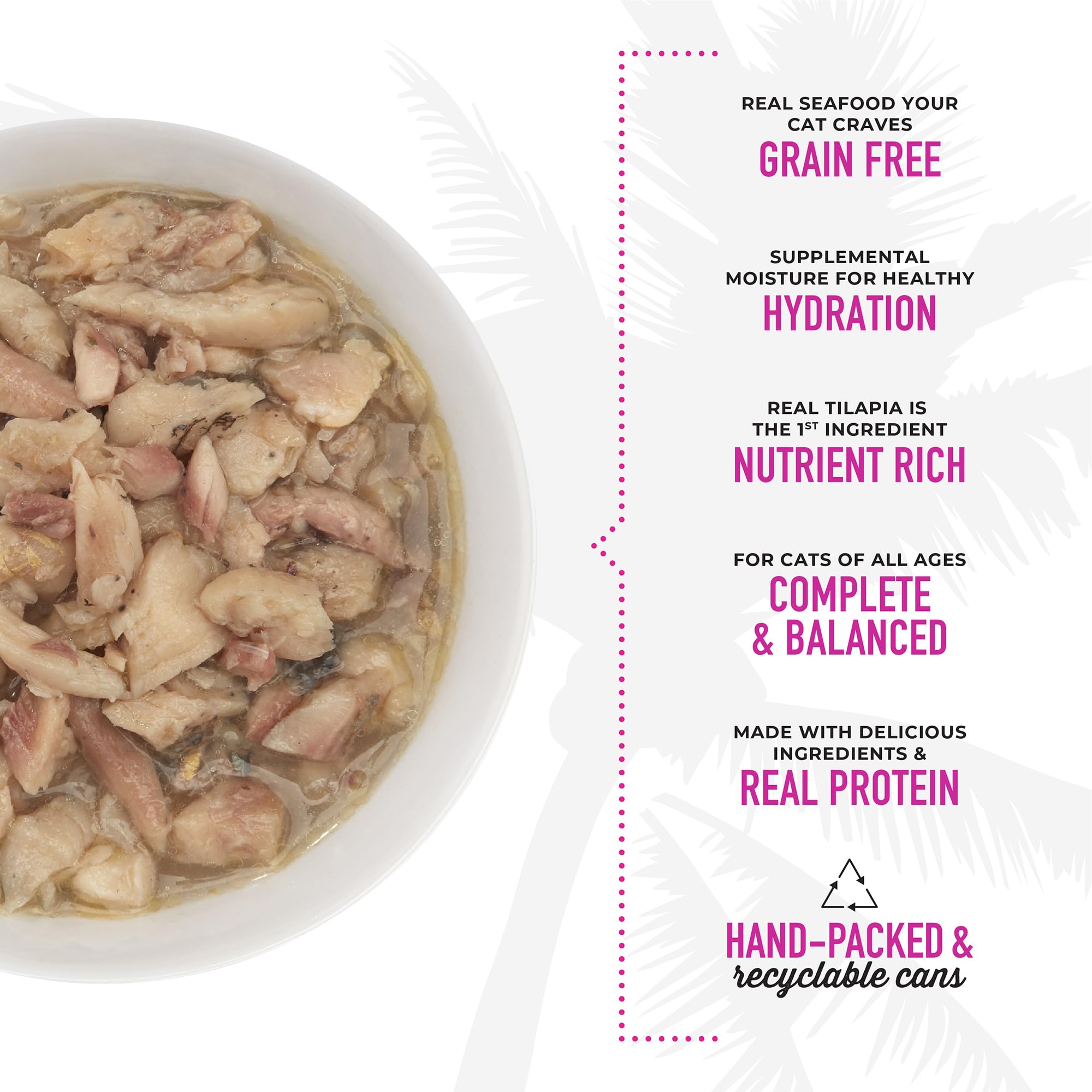 TIKI PETS portion servie dans une assiette, démontre présentation prête à consommer