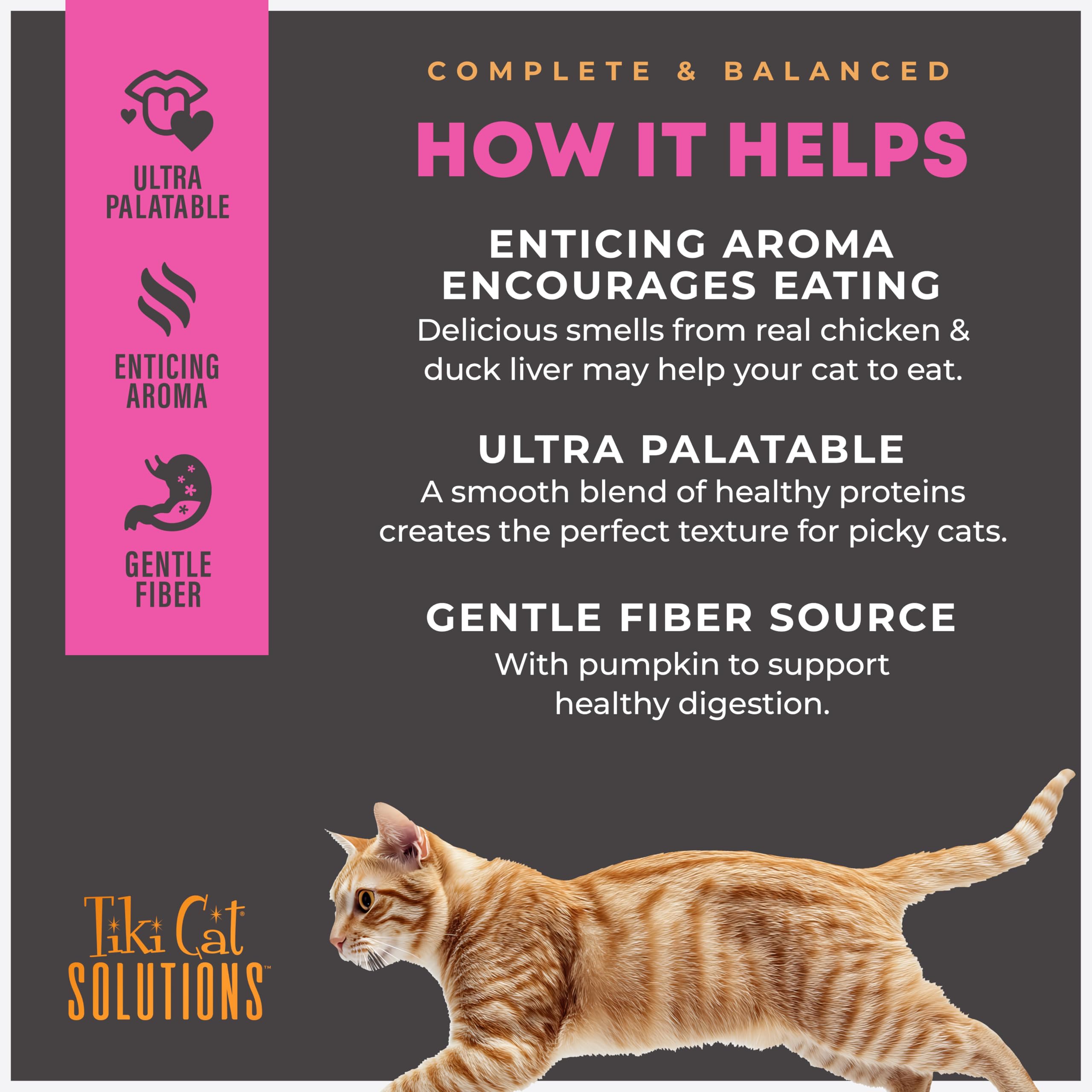 TIKI PETS multipack 12 montrant le format économique et pratique