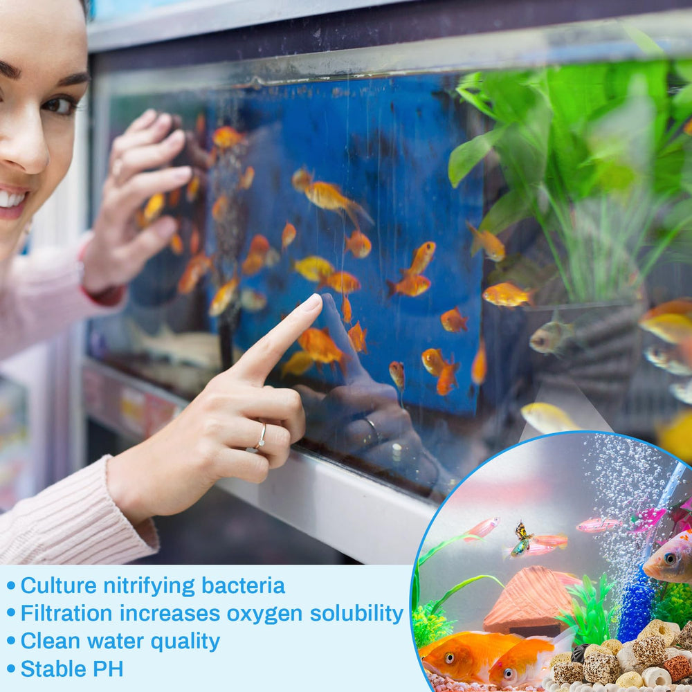 Timgle comparaison taille aquarium, visualisation de la quantité adaptée