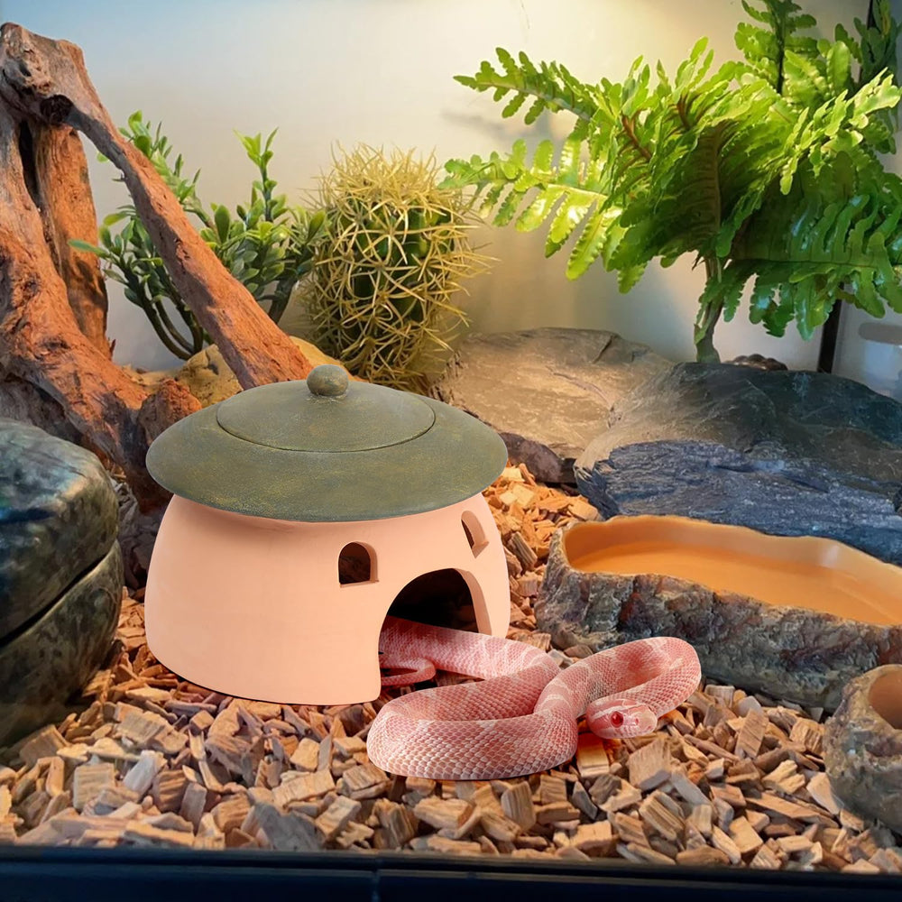 Tino Kino maison posée dans jardin, favorise biodiversité locale
