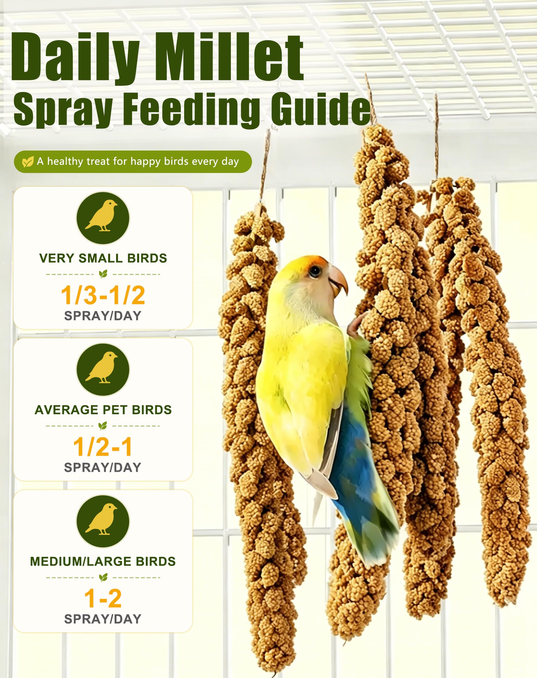 TINYFIELD millet suspendu à la cage stimulant le picorage et l'activité