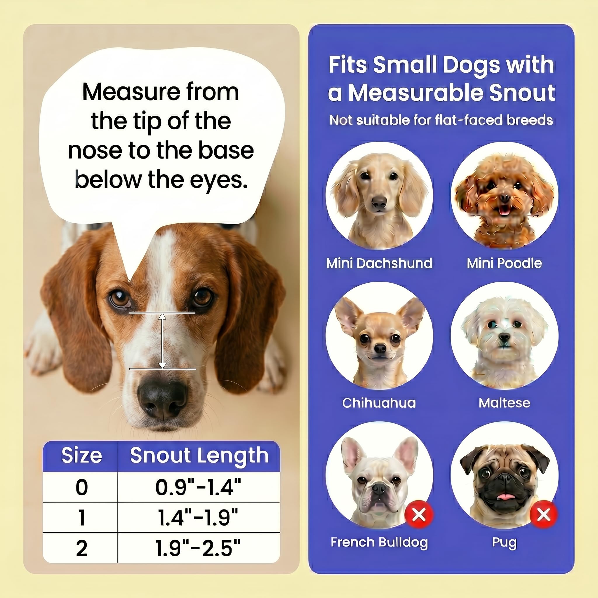 TinyRex muselière en action sur petit chien facilitant halètement