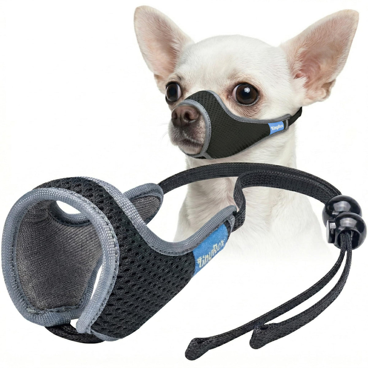TinyRex muselière face avant montrant maintien sûr et accès respiratoire
