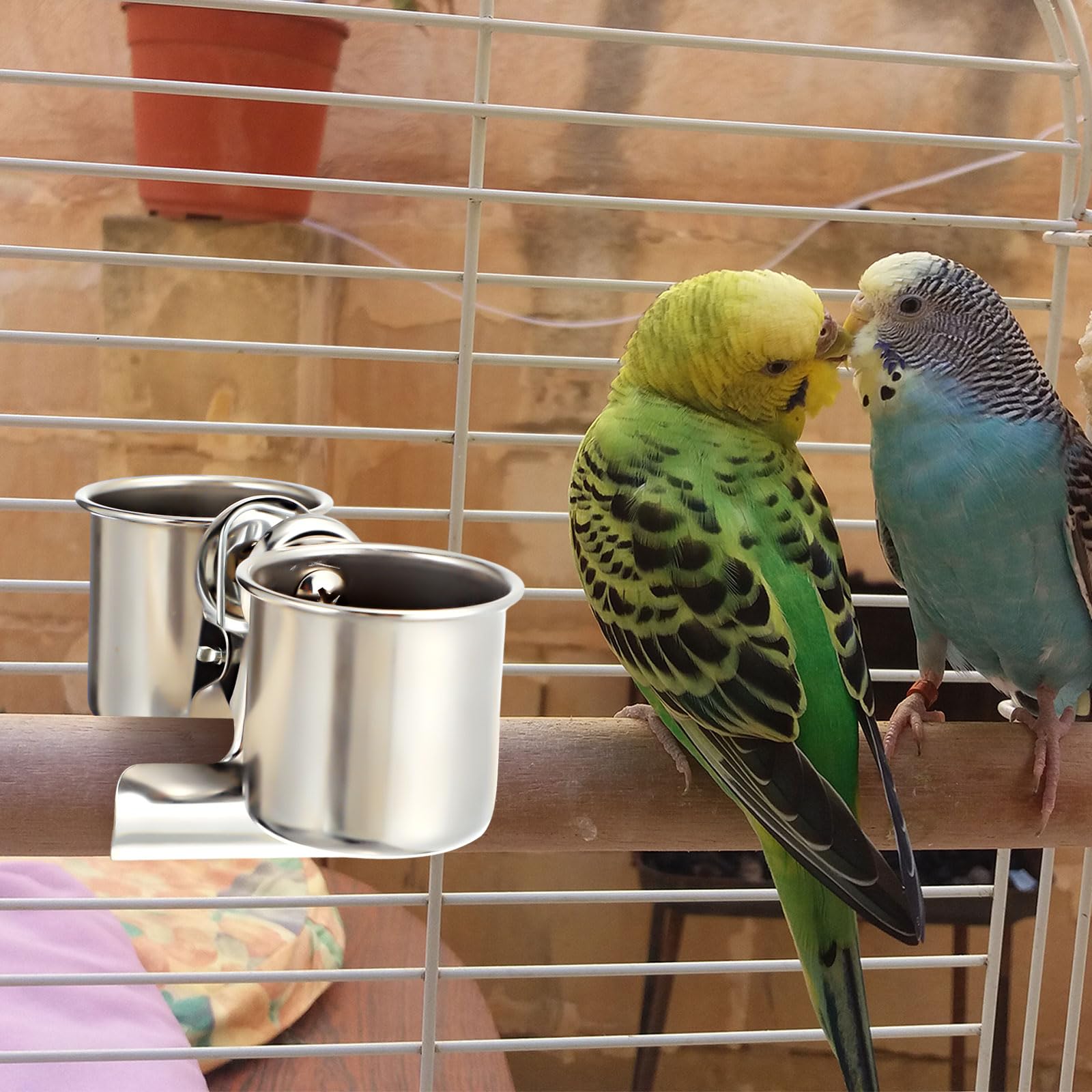 Tioncy oiseau mangeant illustrant confort et accessibilité