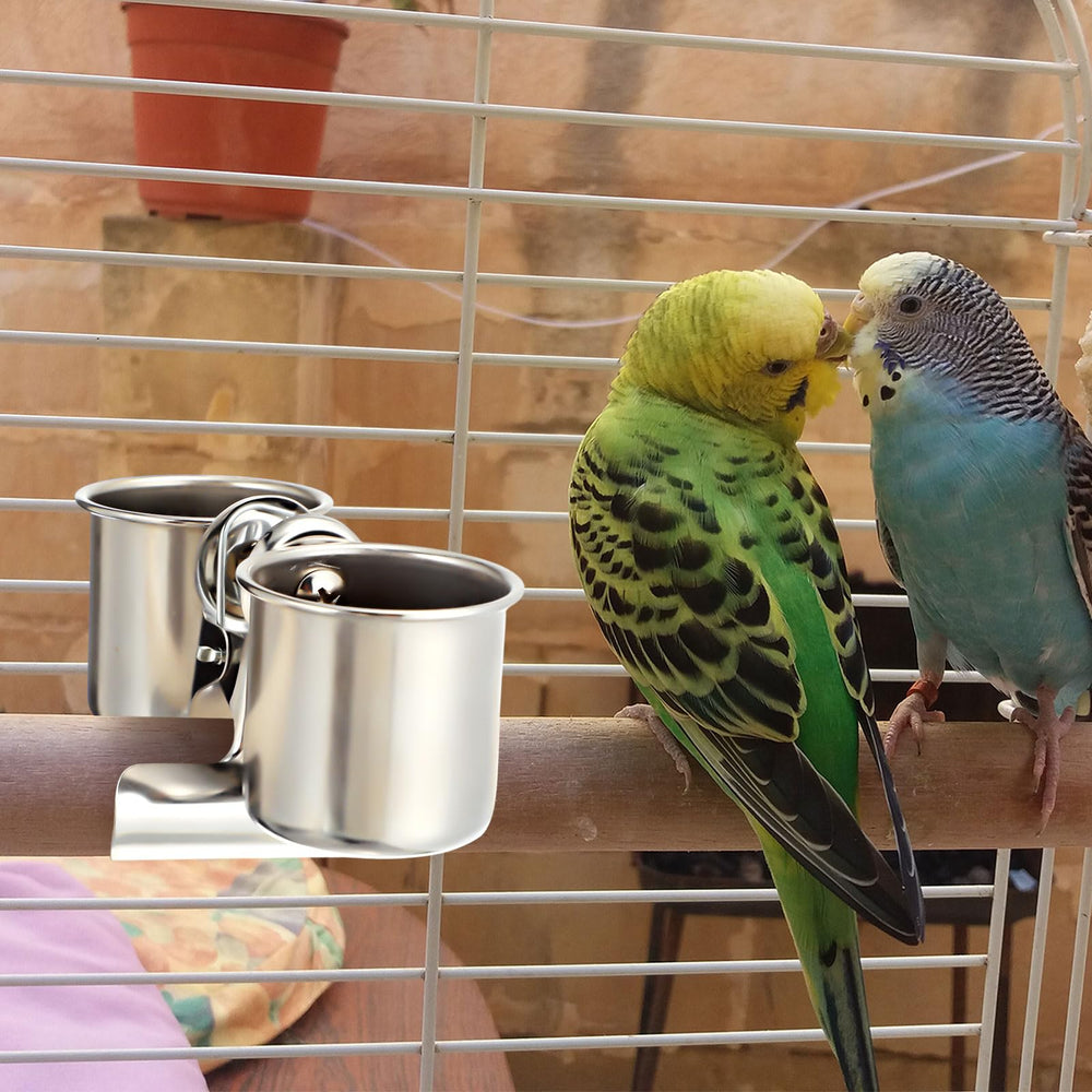 Tioncy oiseau mangeant illustrant confort et accessibilité