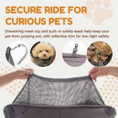 Tirige chat installé dans le sac illustrant transport sûr et proche