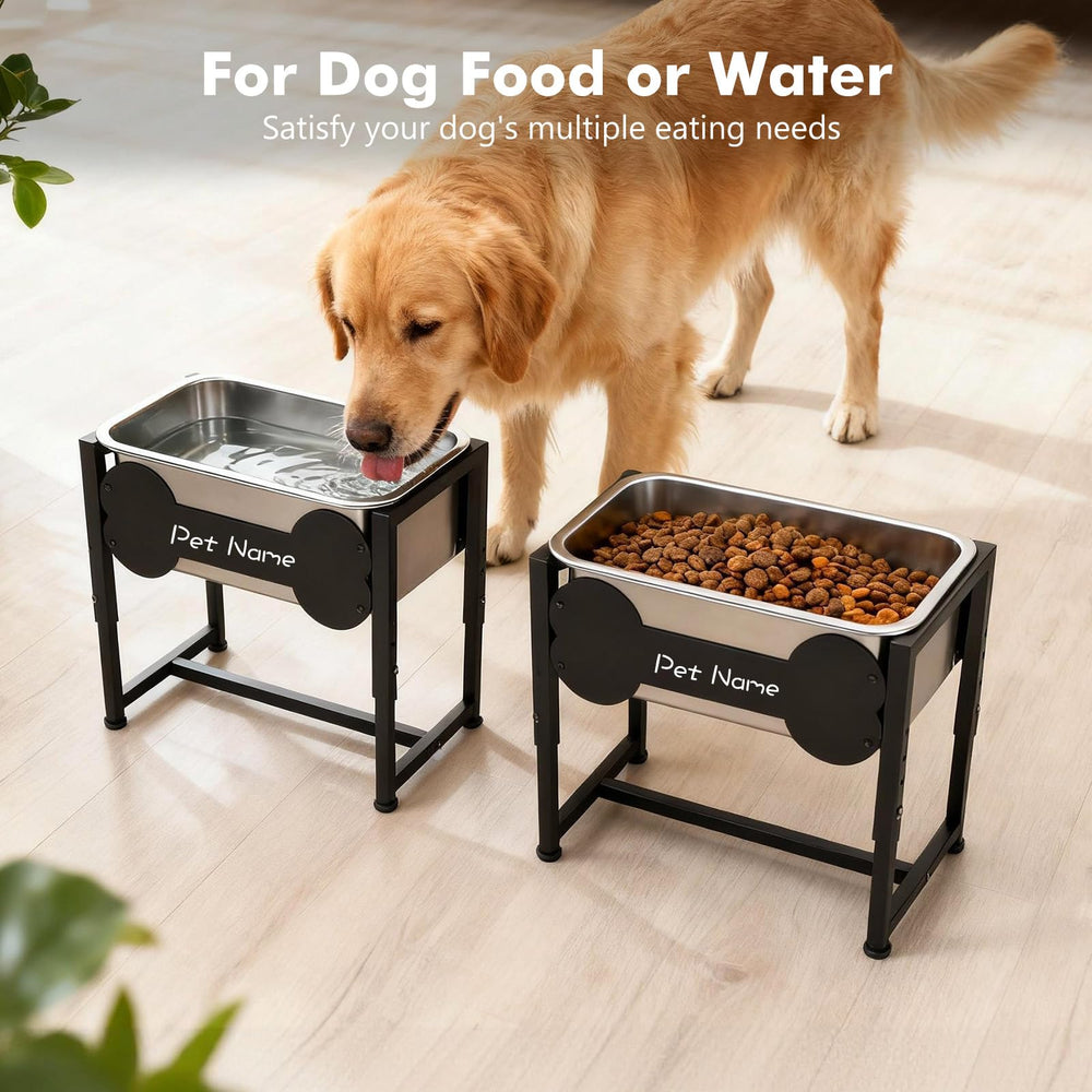 Tivray comparaison taille avec chien, illustre capacité 2,4 gallons