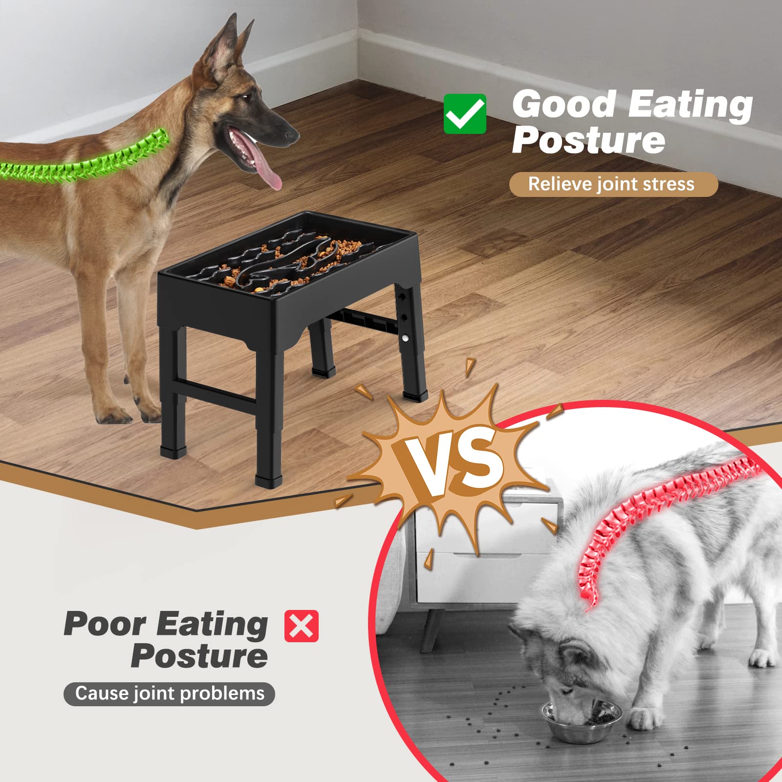 Chien de grande taille mangeant dans la Tivray améliorant posture et confort