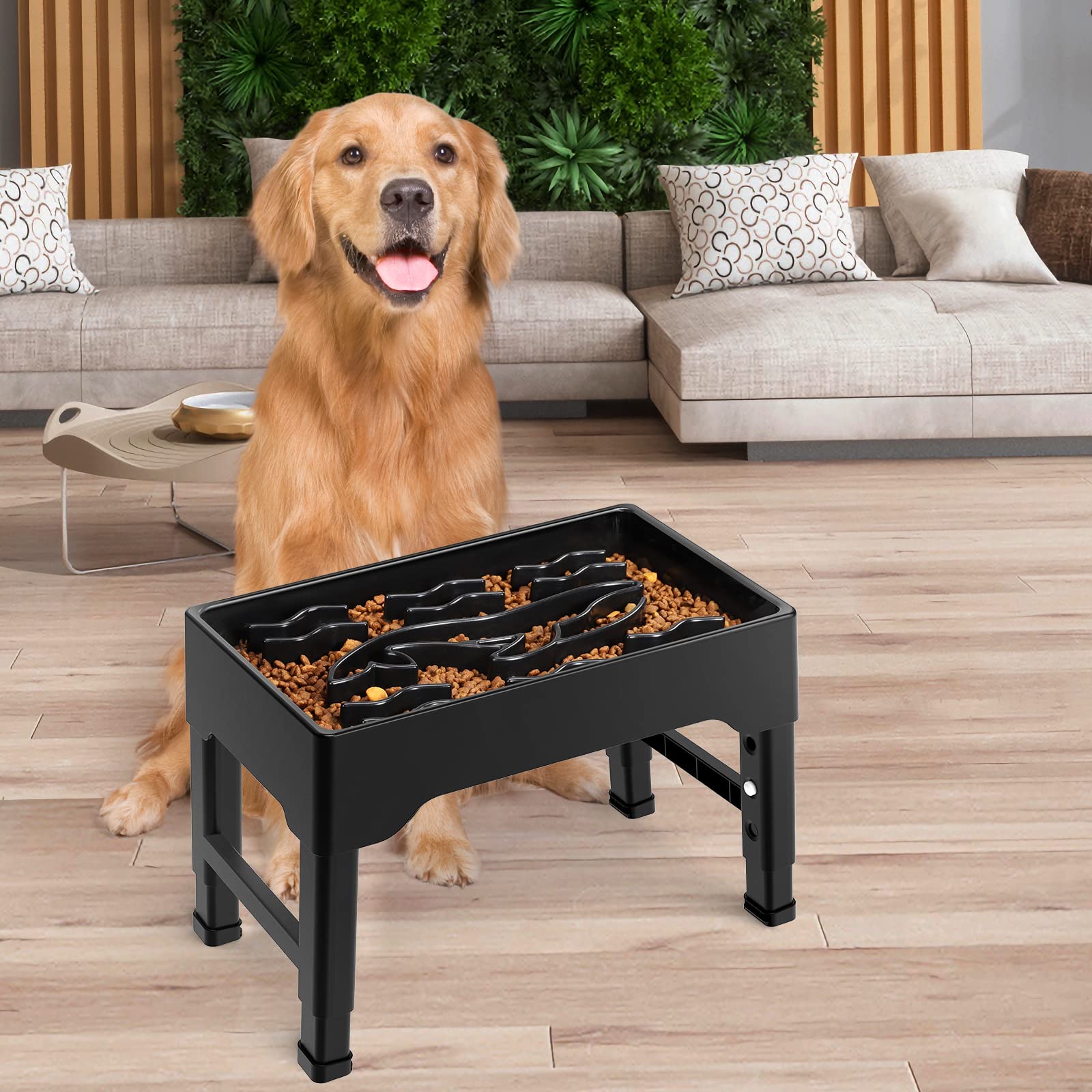 Ambiance cuisine avec Tivray gamelle intégrée au quotidien pour multi-animaux