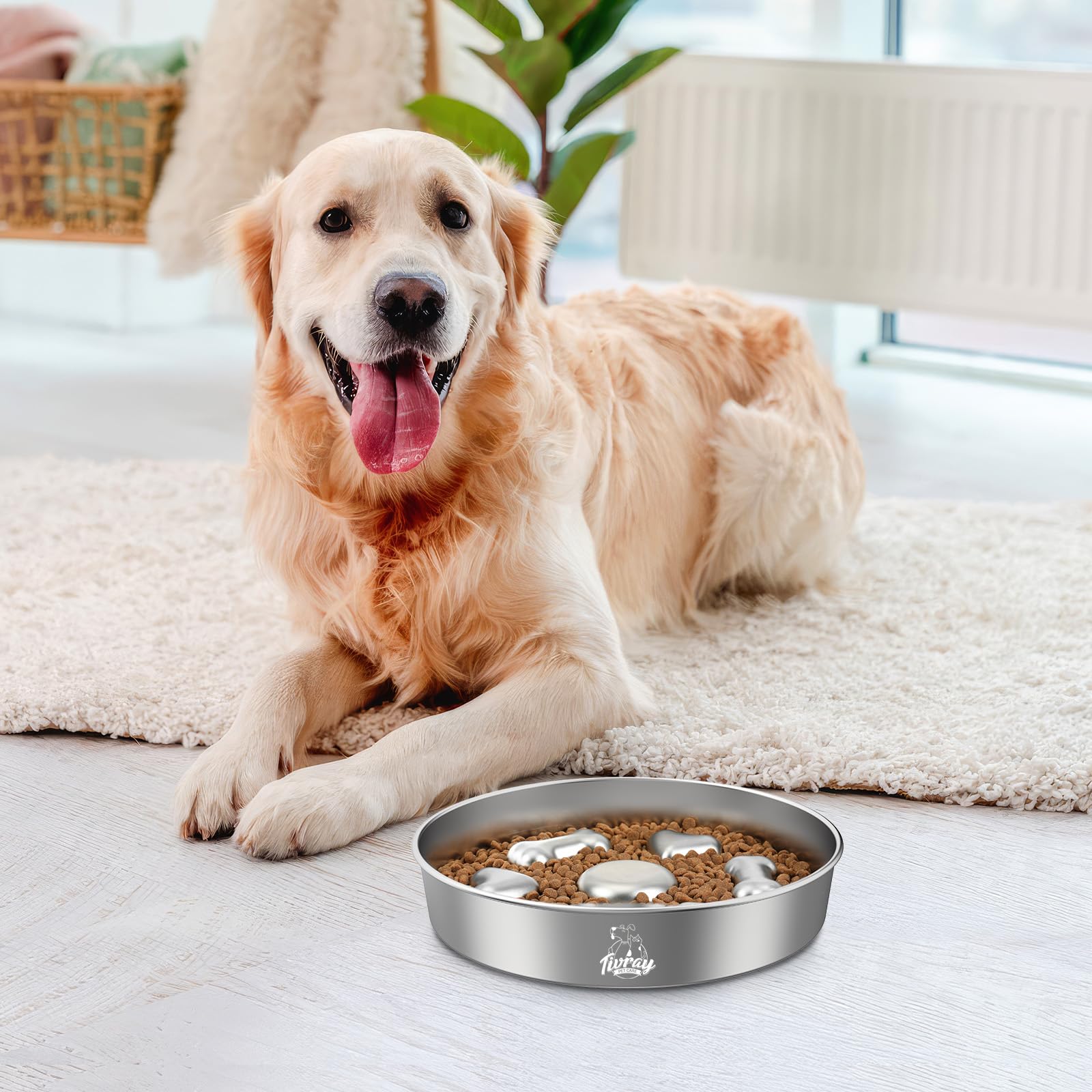 Tivray gamelle mise en scène cuisine design discret et compatible quotidien