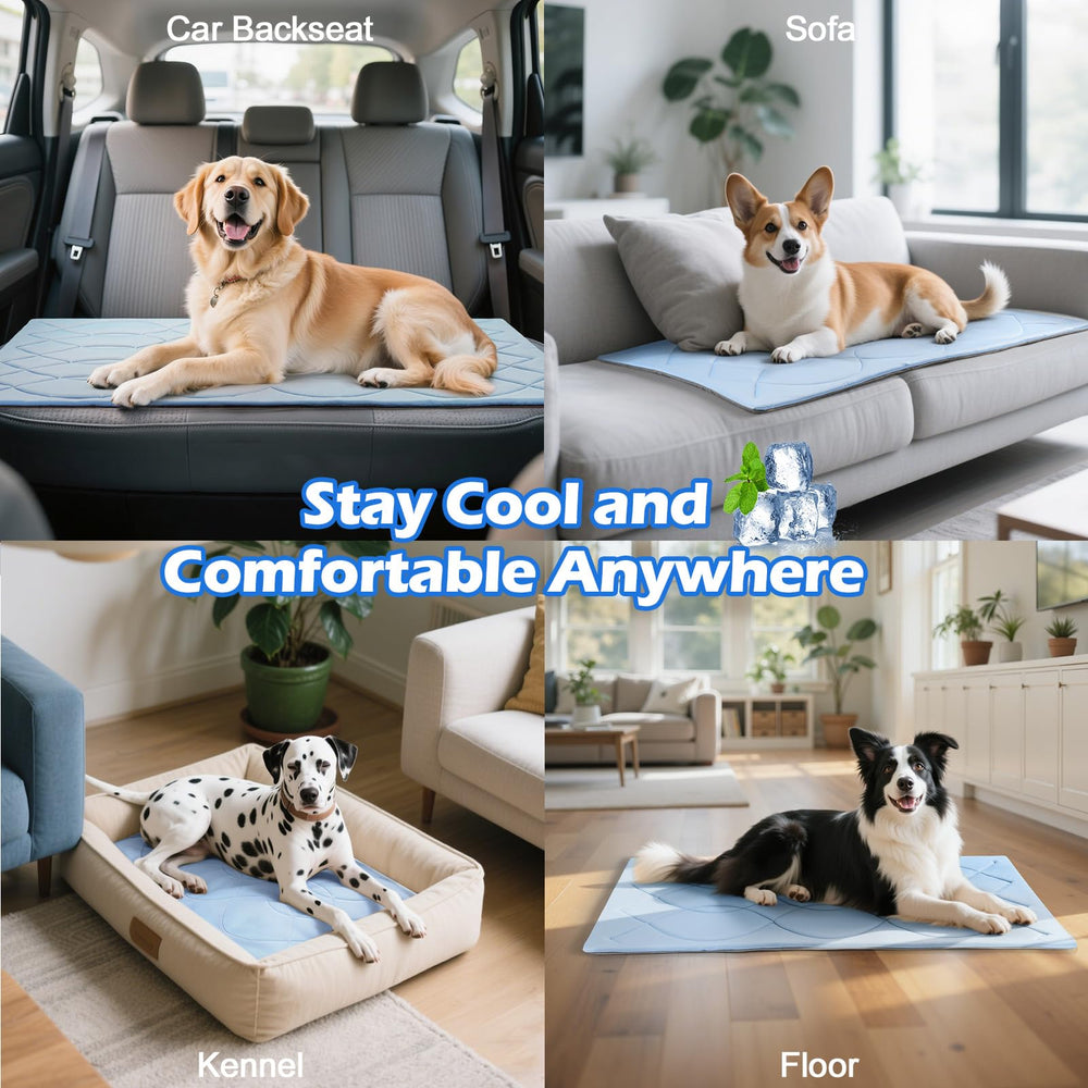 Tivray chien allongé sur tapis apportant repos frais et détendu